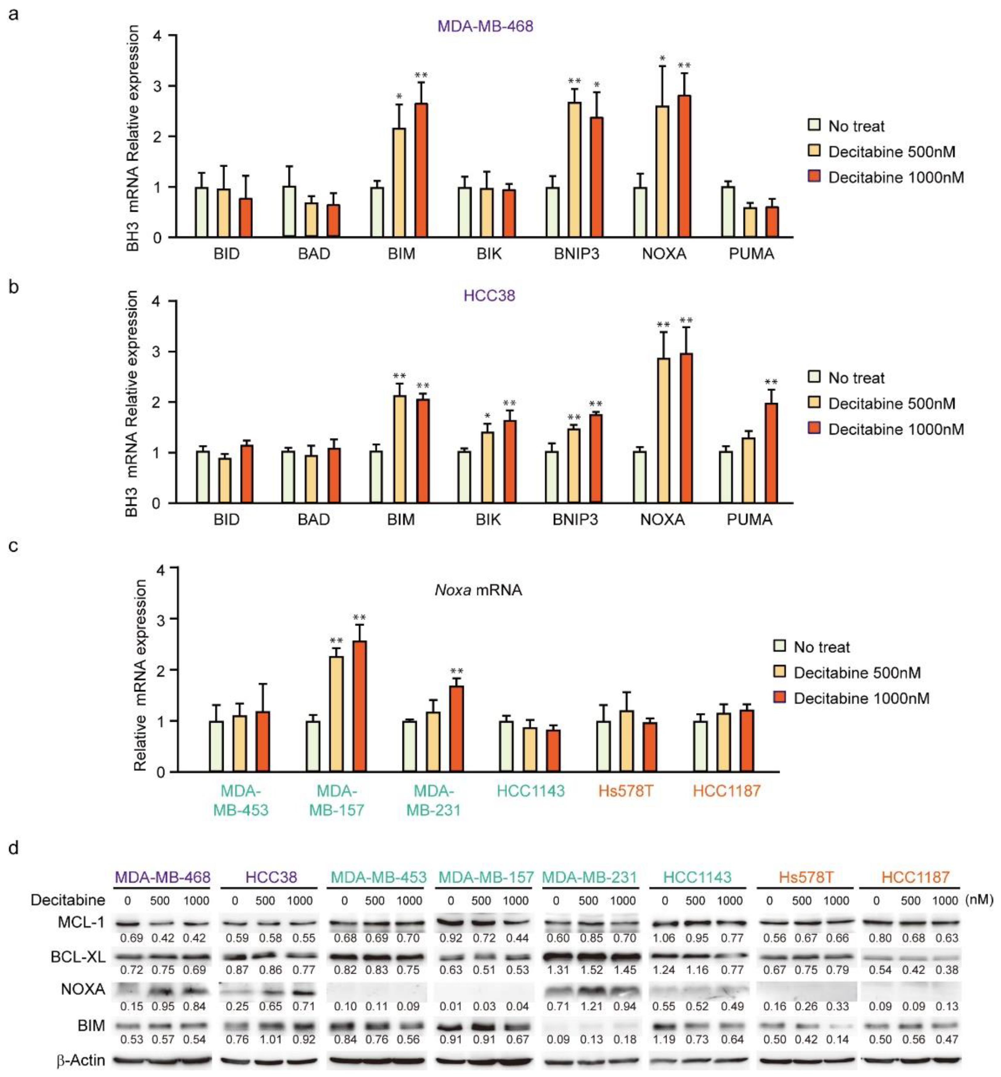 Cancers 14 00248 g003
