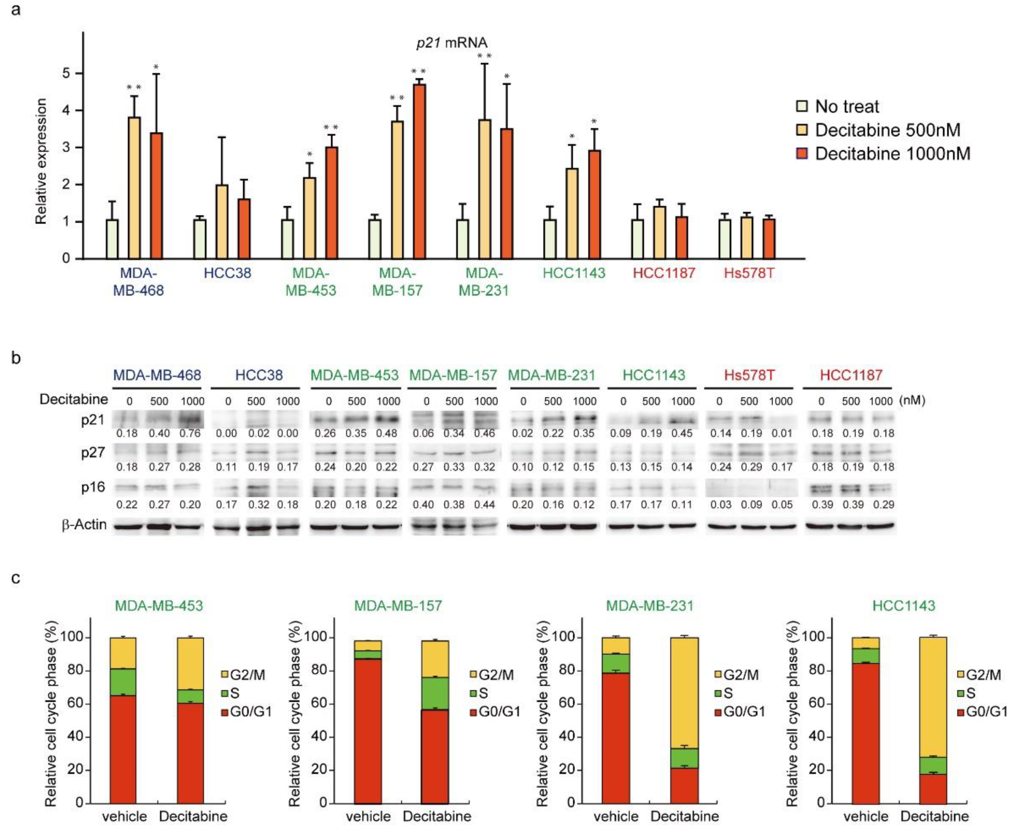 Cancers 14 00248 g005