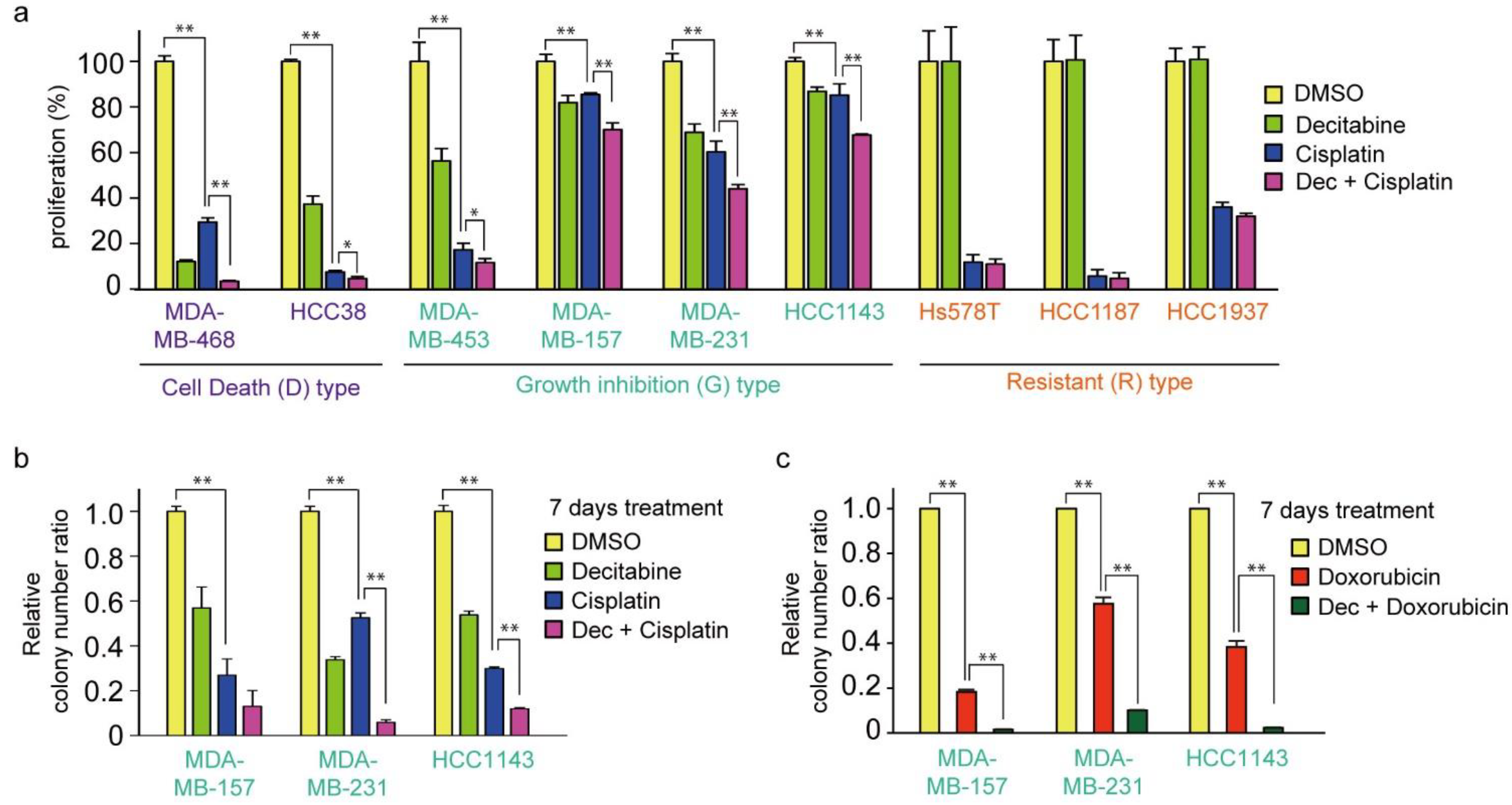 Cancers 14 00248 g007a