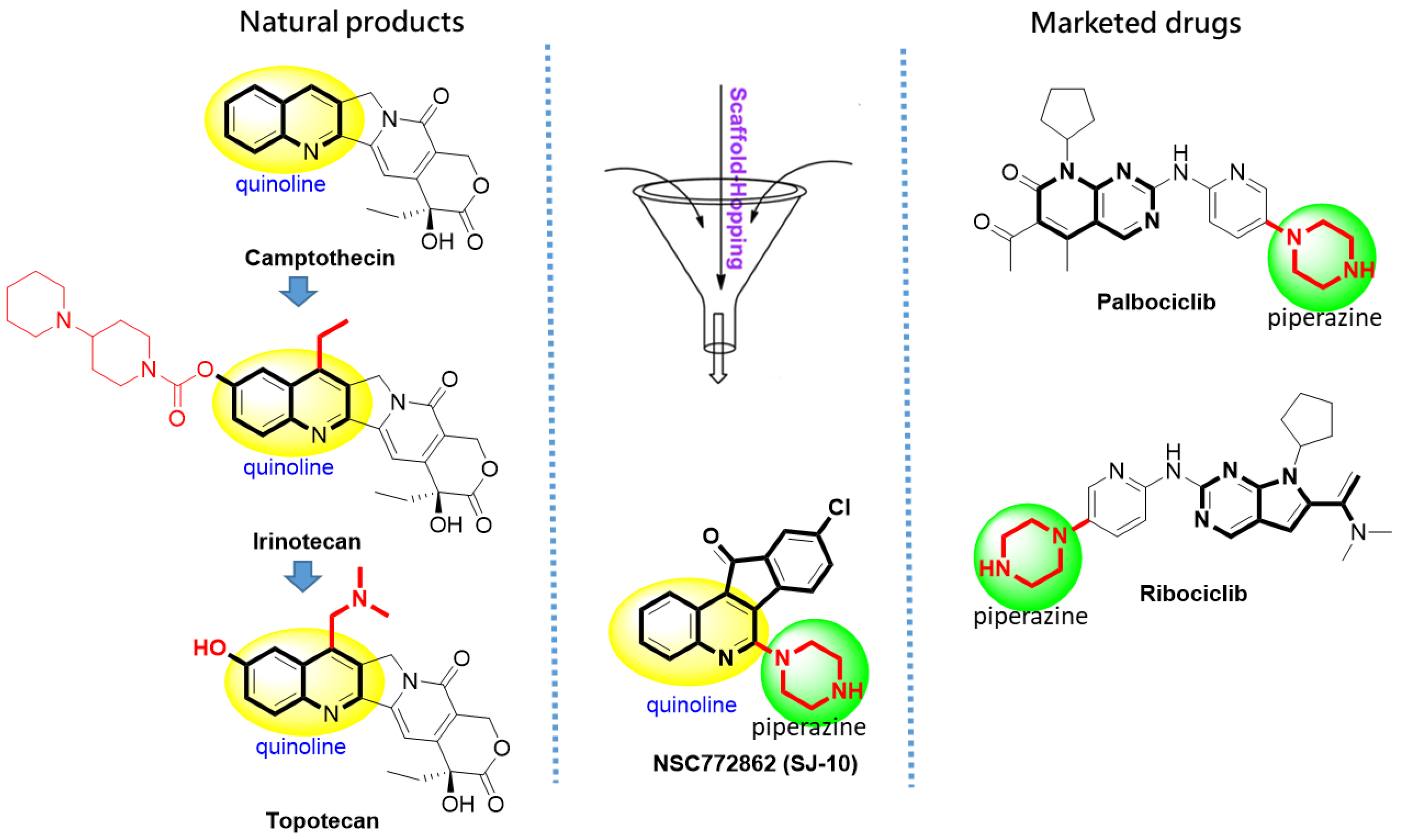 Cancers 14 00262 g001