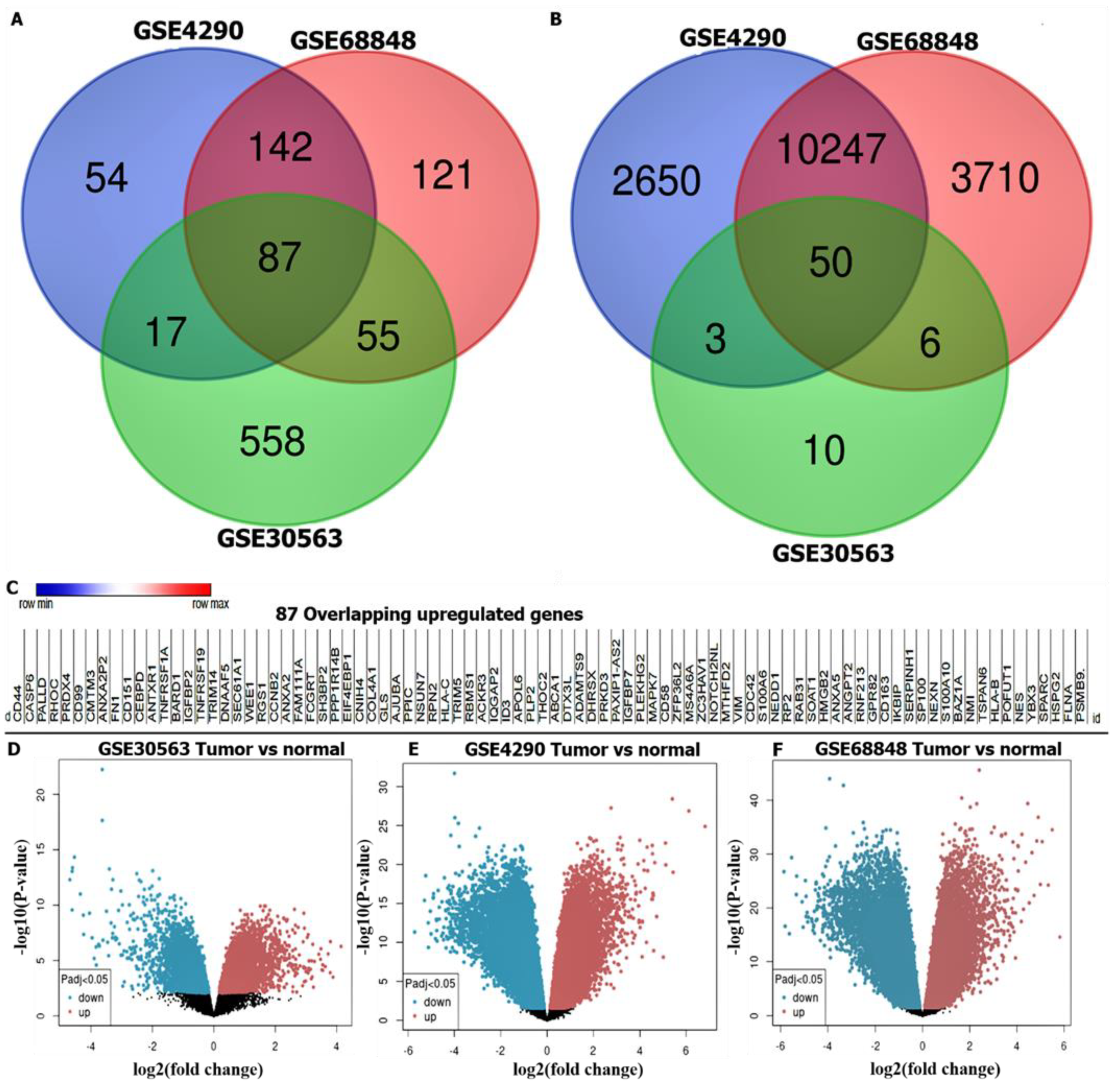 Cancers 14 00262 g002
