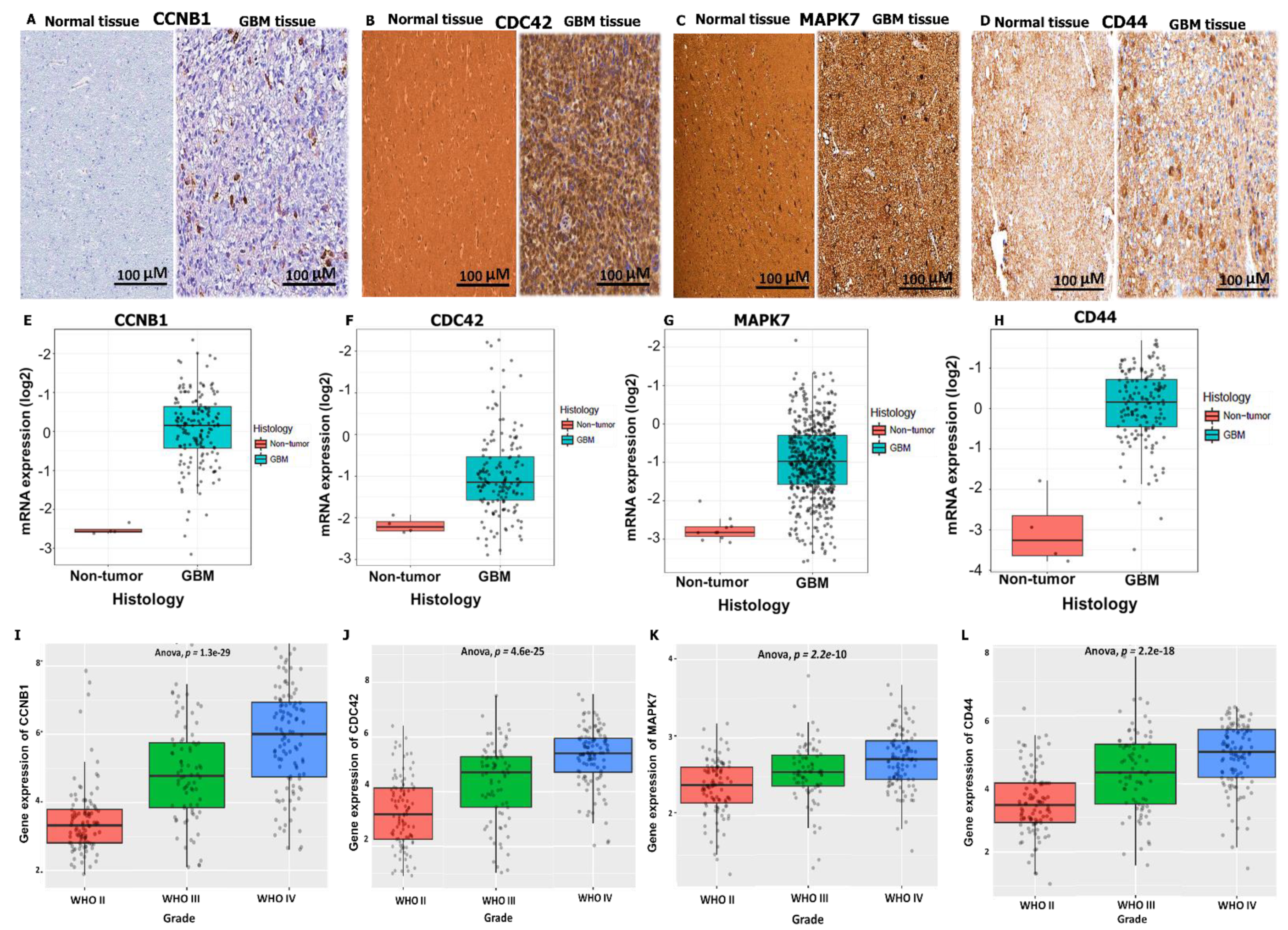 Cancers 14 00262 g005