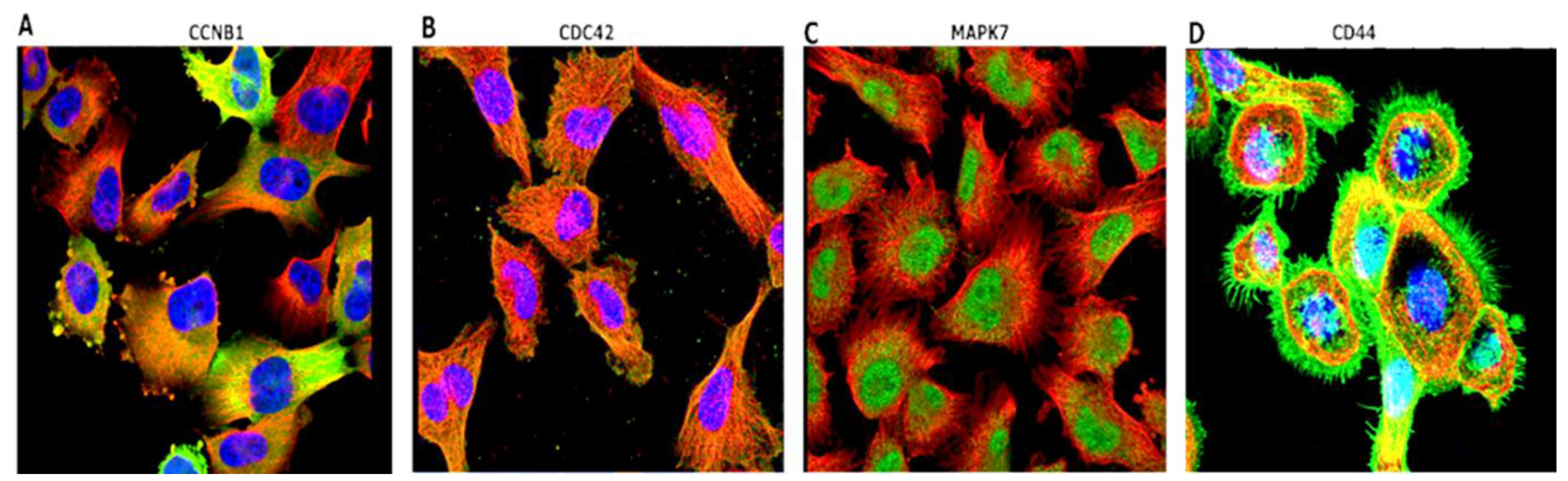 Cancers 14 00262 g006