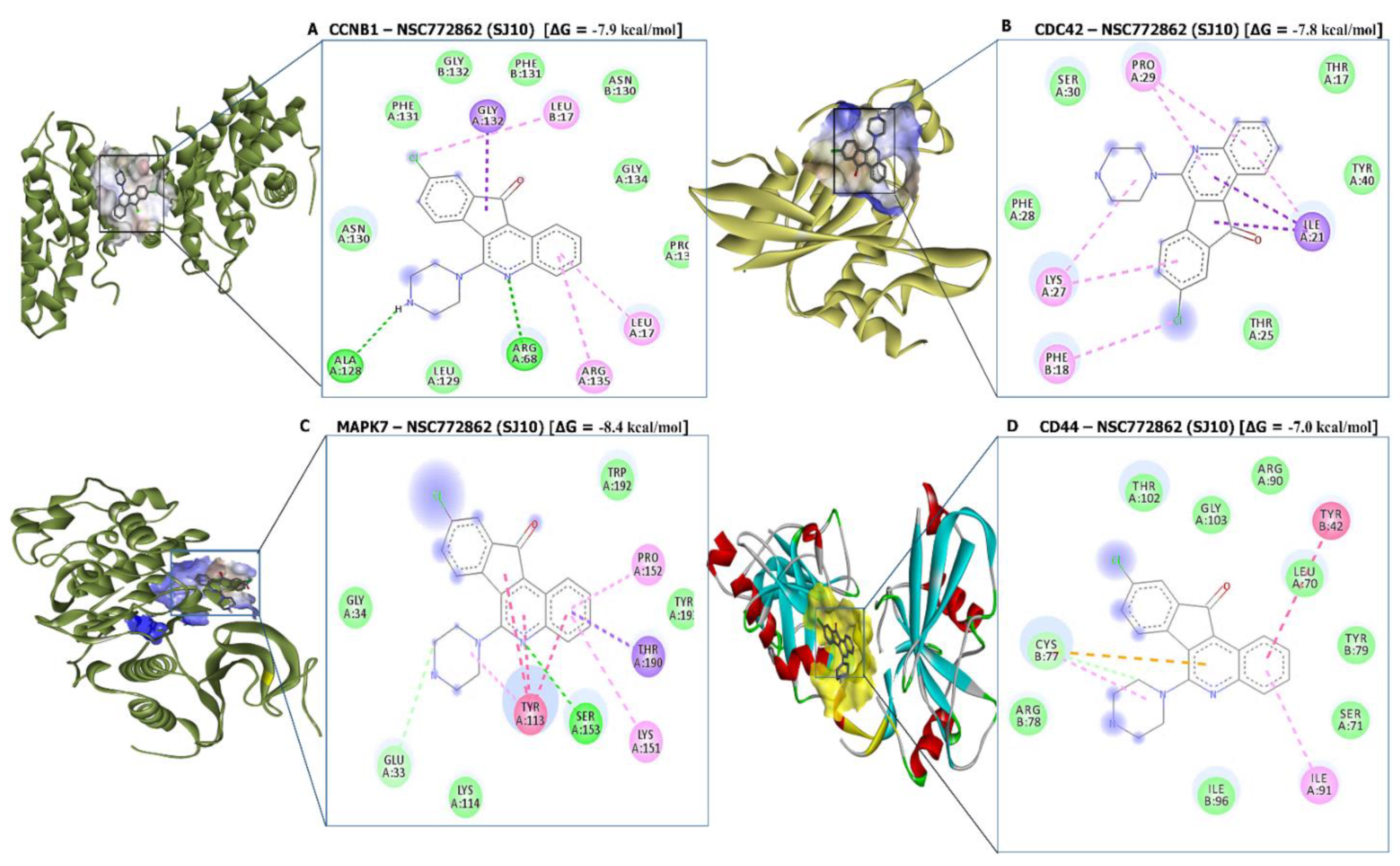 Cancers 14 00262 g011