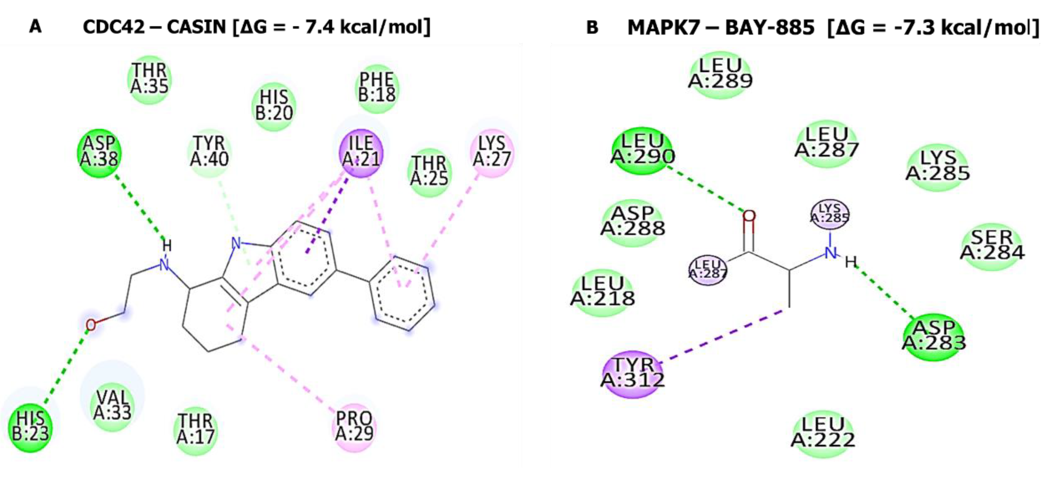 Cancers 14 00262 g012
