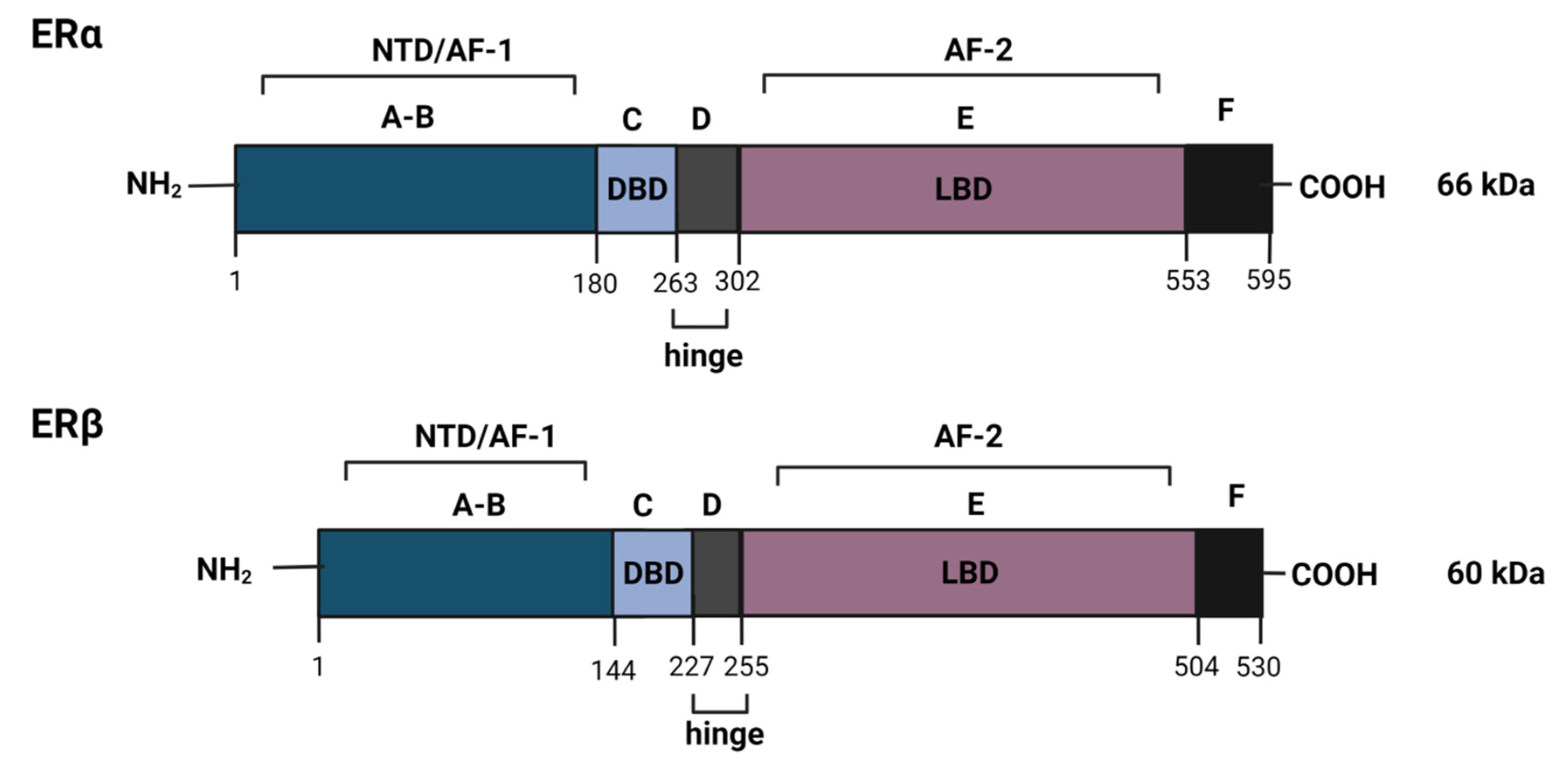 Cancers 14 00279 g001 Cancers 14 00279 g001