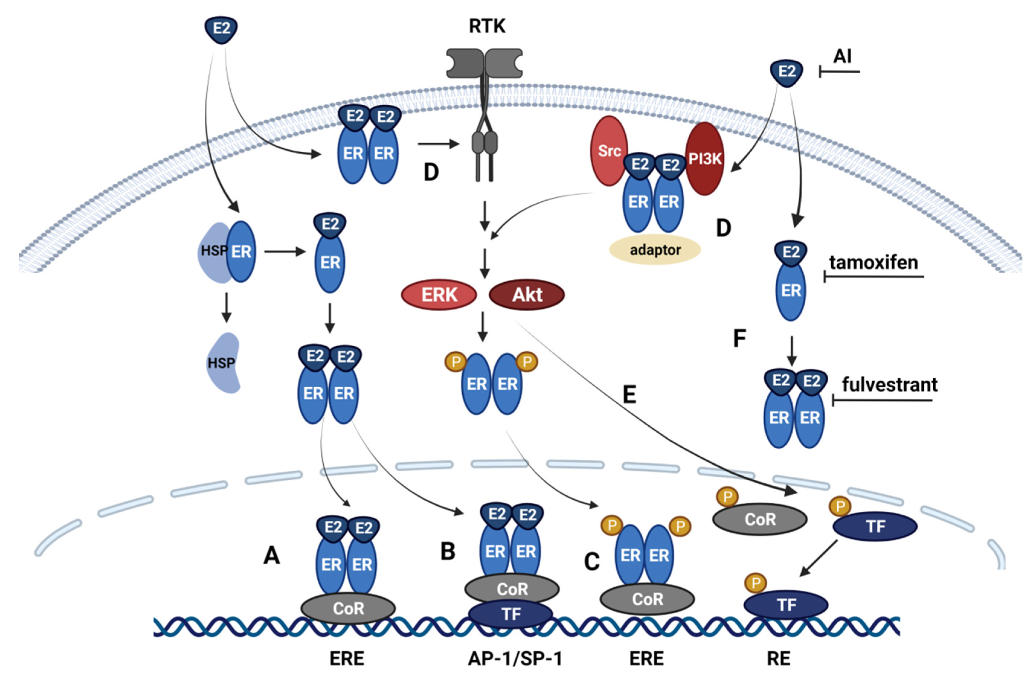 Cancers 14 00279 g002 Cancers 14 00279 g002