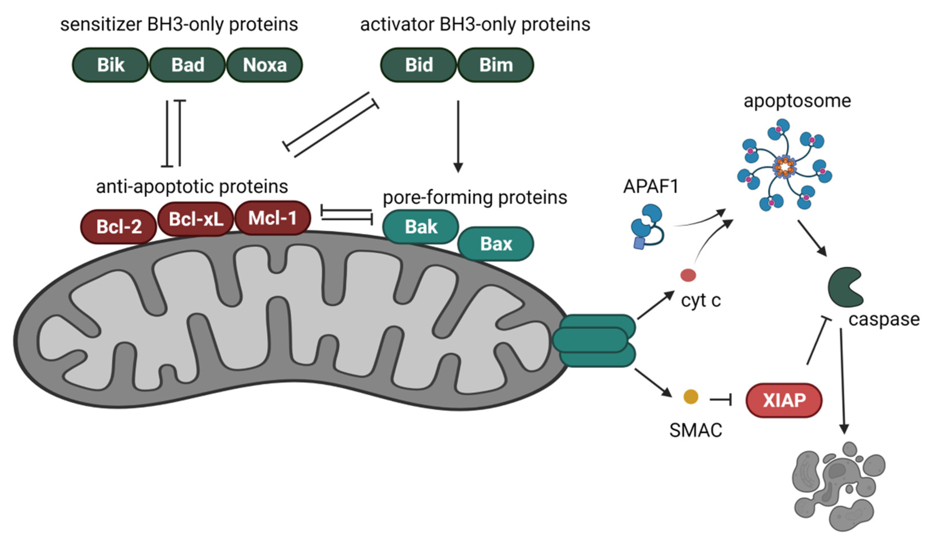 Cancers 14 00279 g003 Cancers 14 00279 g003