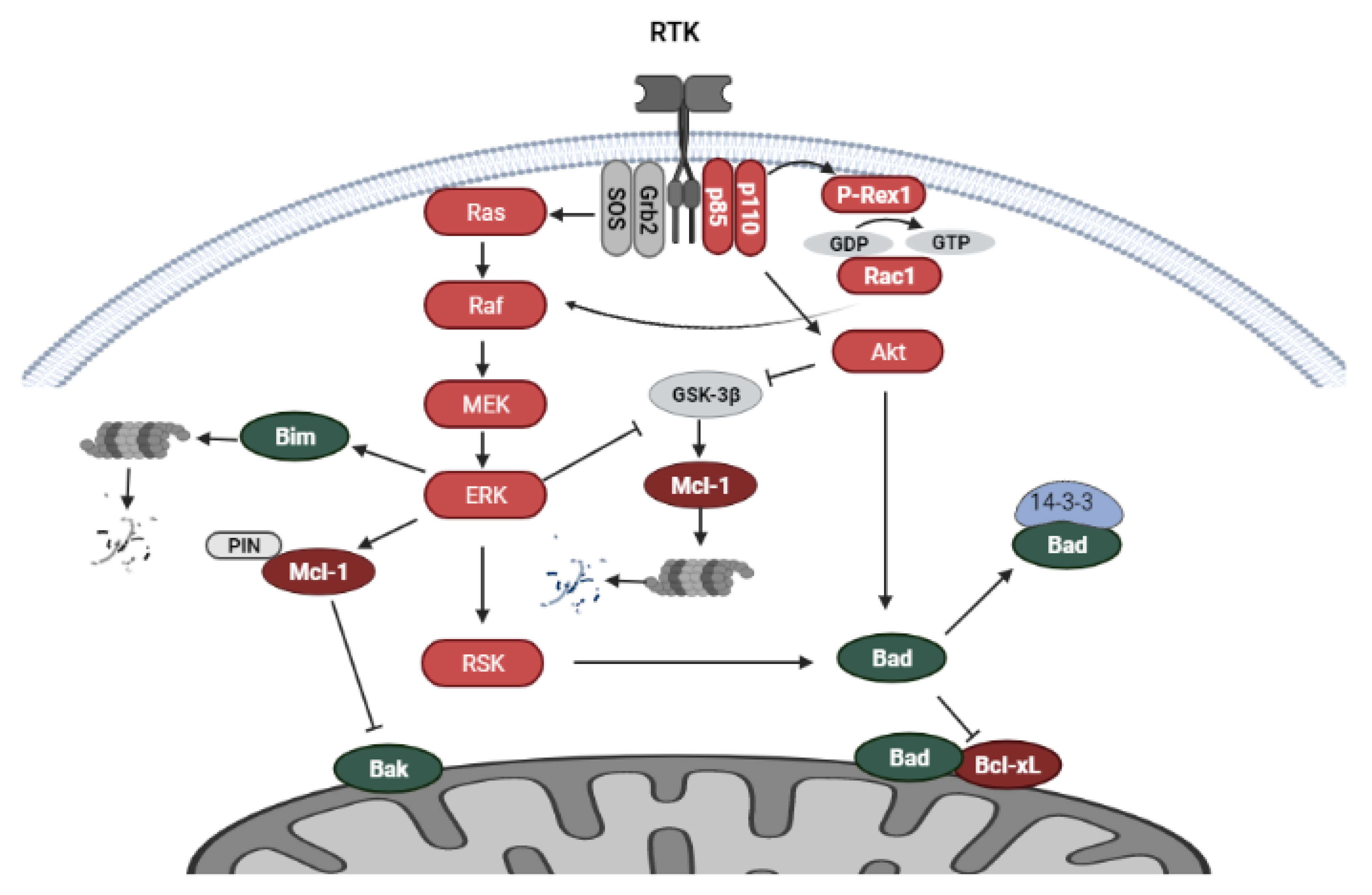 Cancers 14 00279 g004 Cancers 14 00279 g004