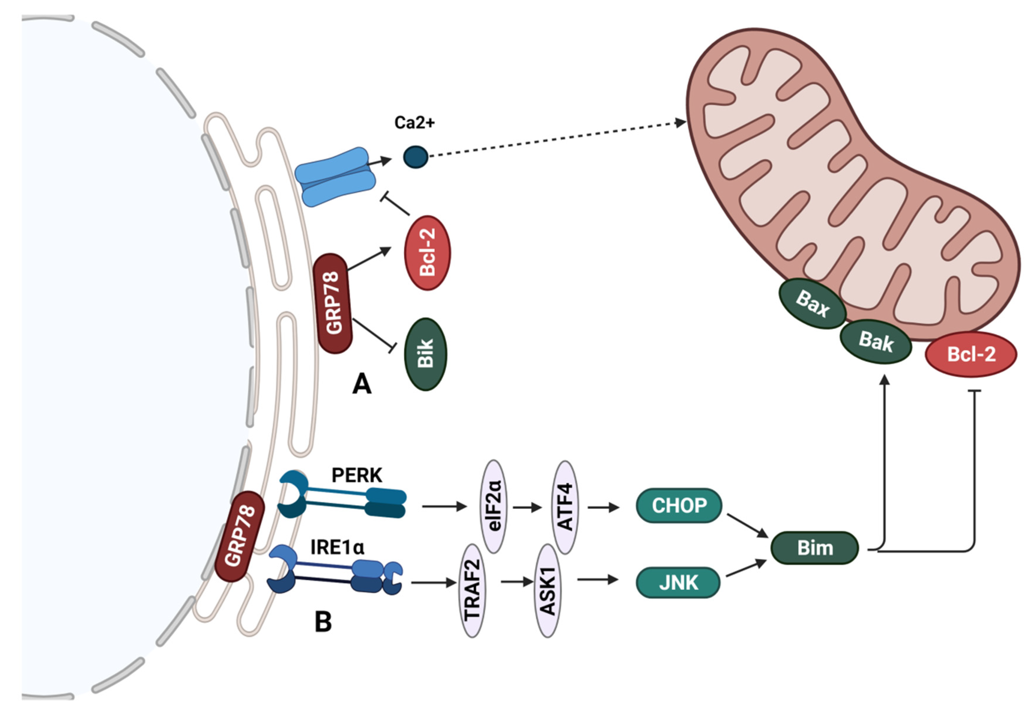 Cancers 14 00279 g005 Cancers 14 00279 g005