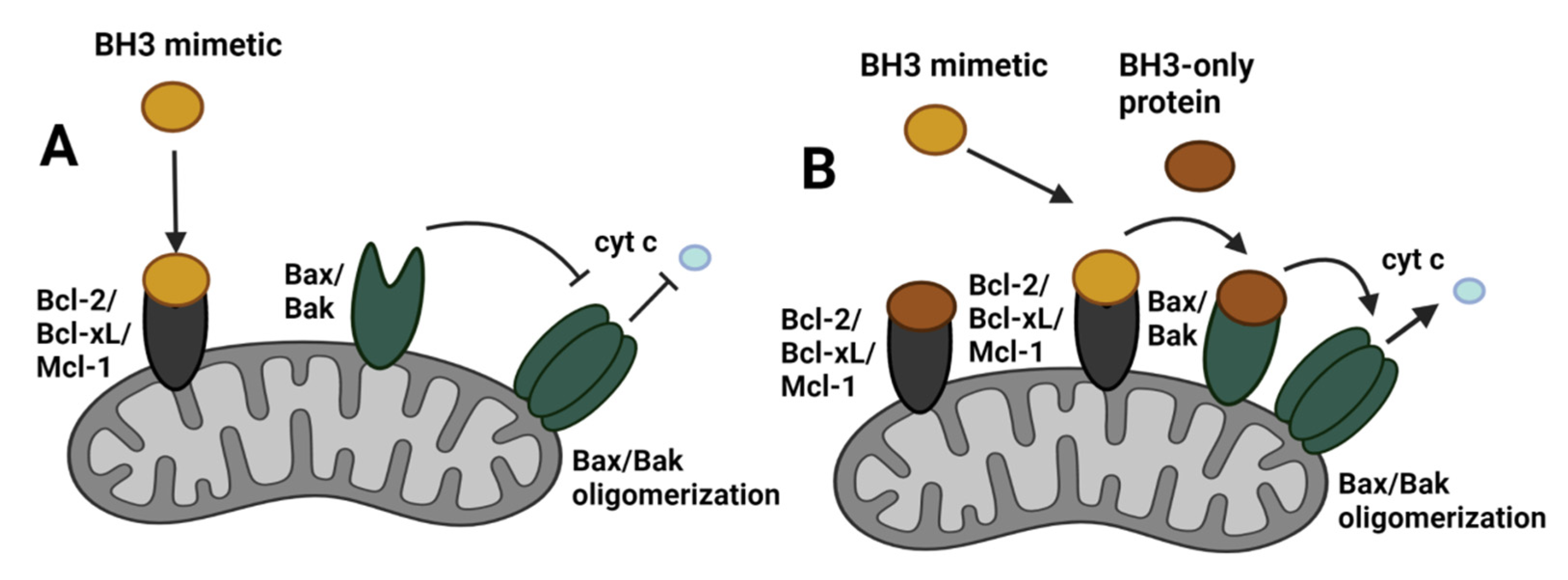 Cancers 14 00279 g006 Cancers 14 00279 g006