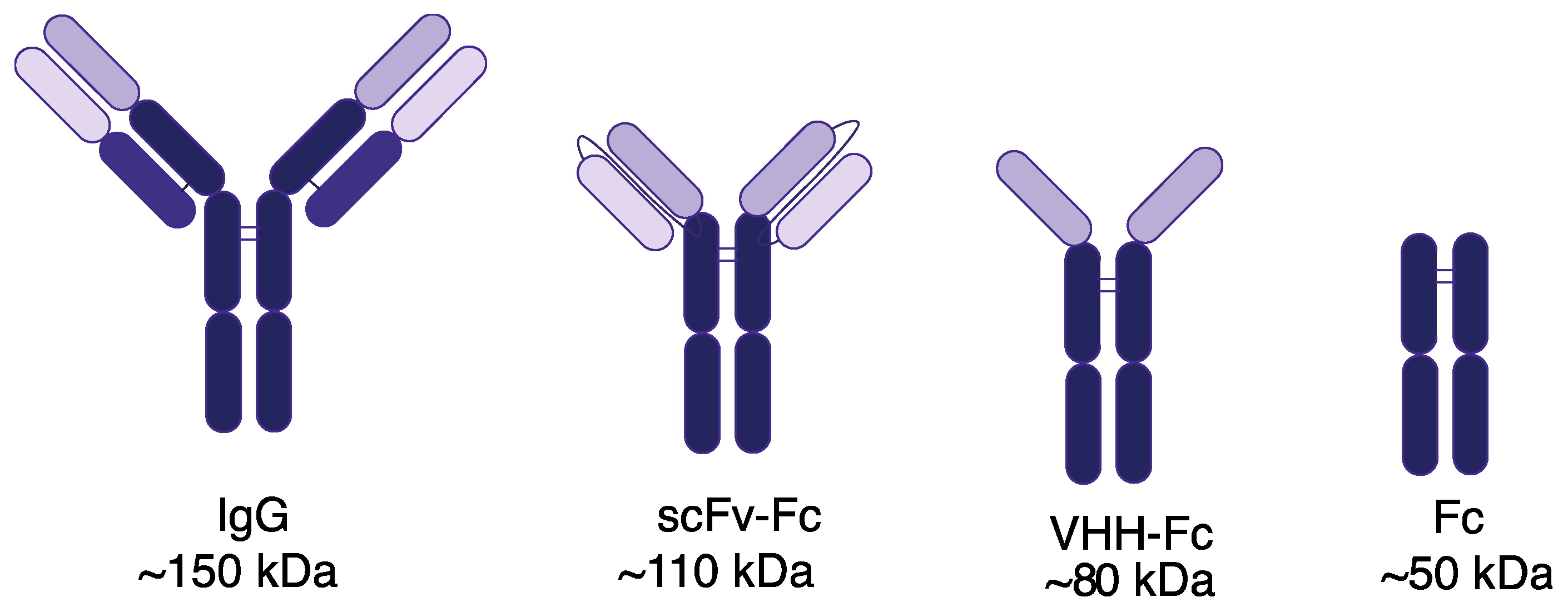 Cancers 14 00300 g001 Cancers 14 00300 g001