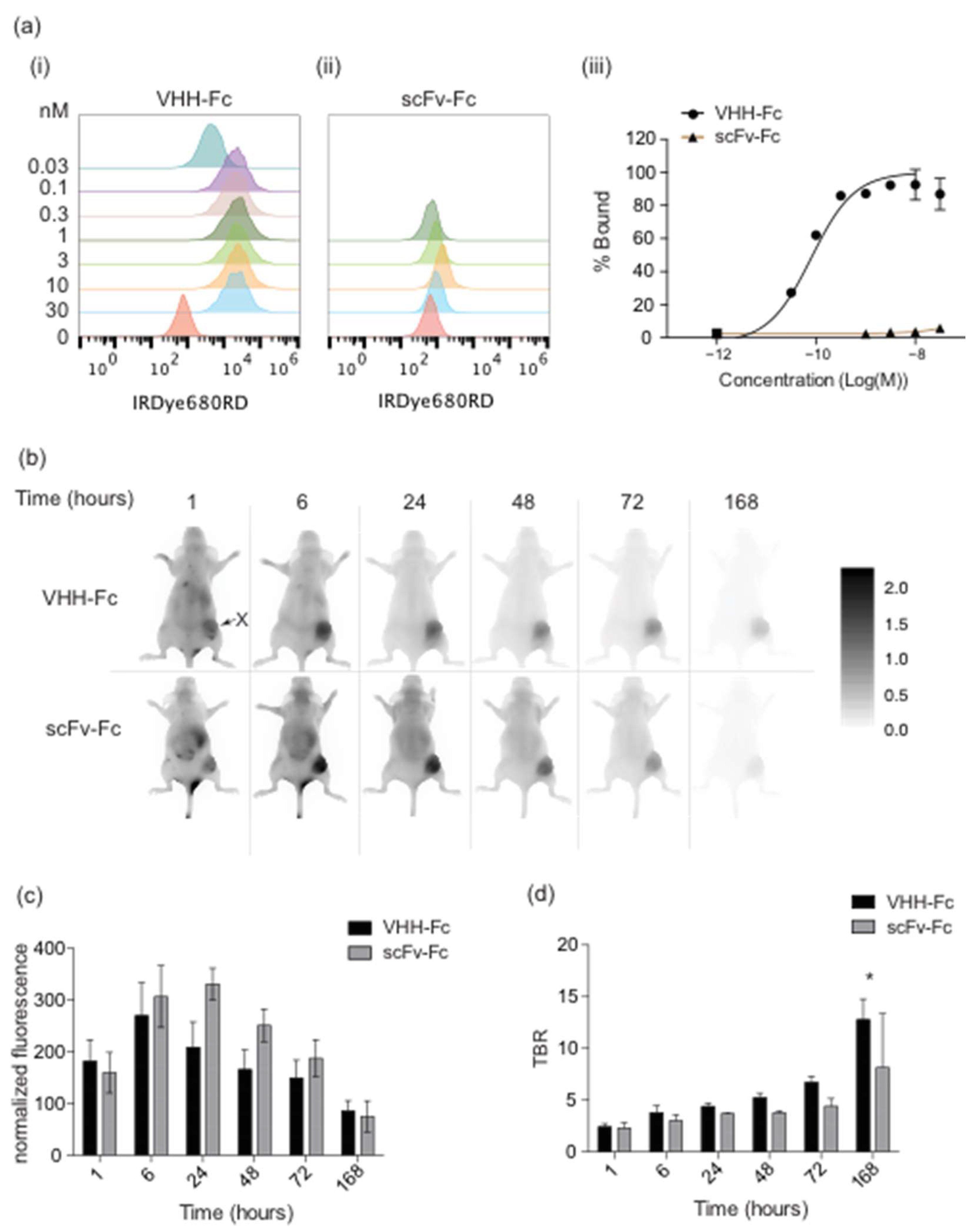 Cancers 14 00300 g002 Cancers 14 00300 g002