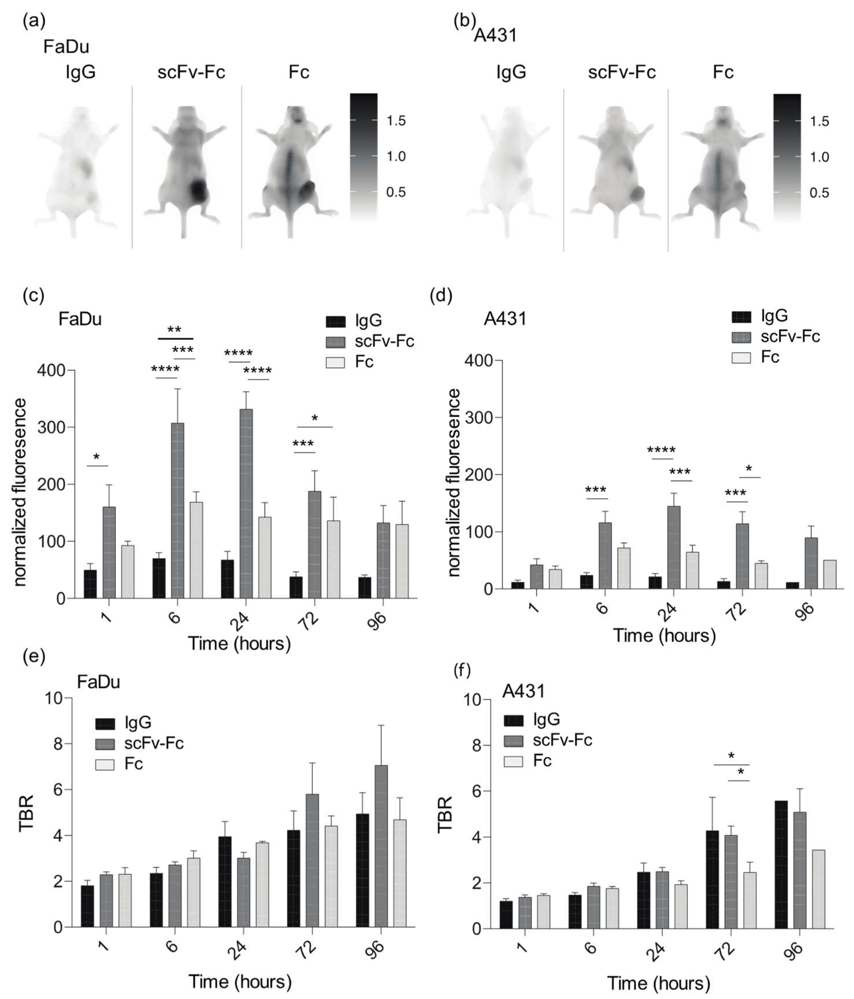 Cancers 14 00300 g004 Cancers 14 00300 g004
