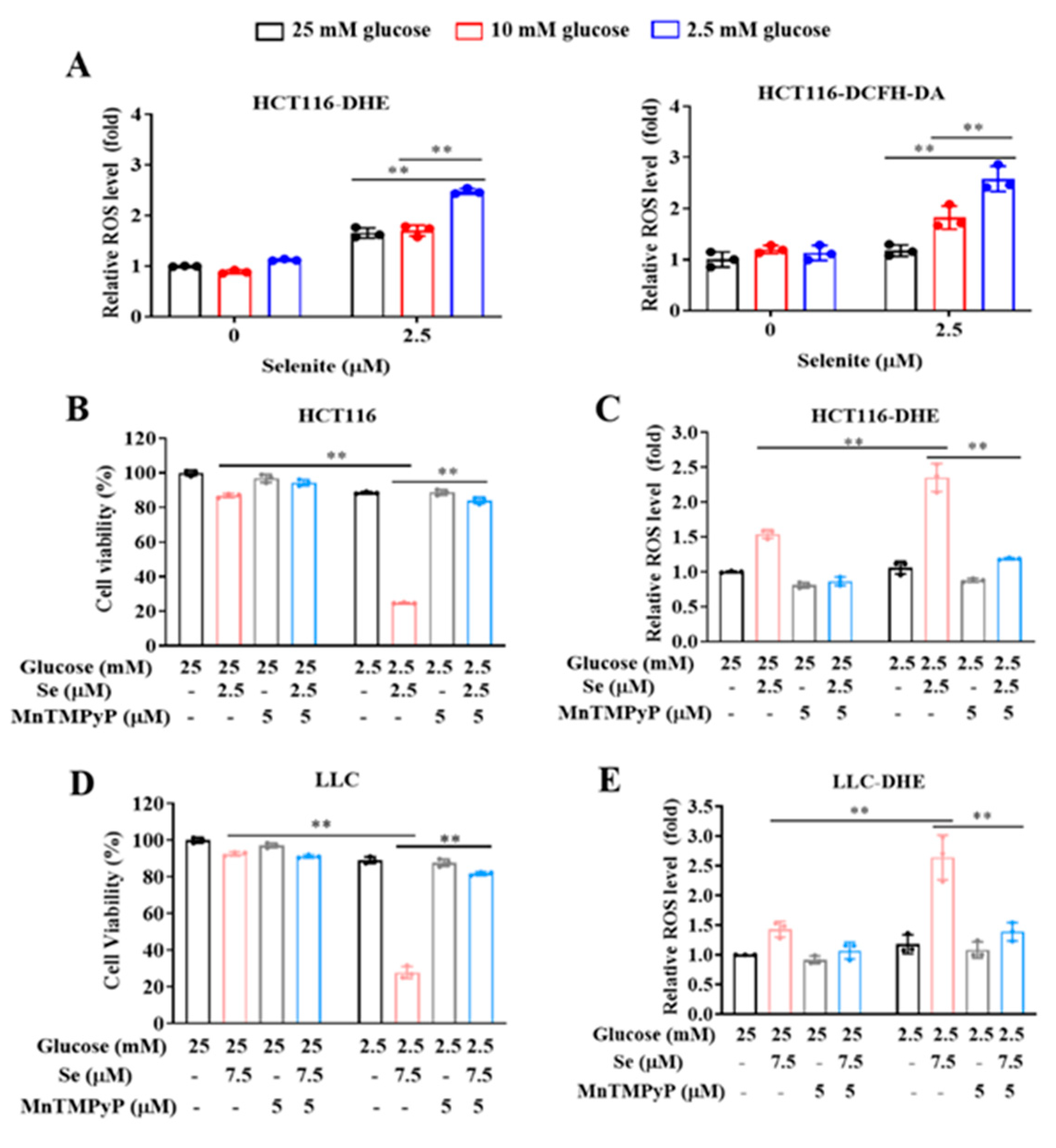 Cancers 14 00345 g002