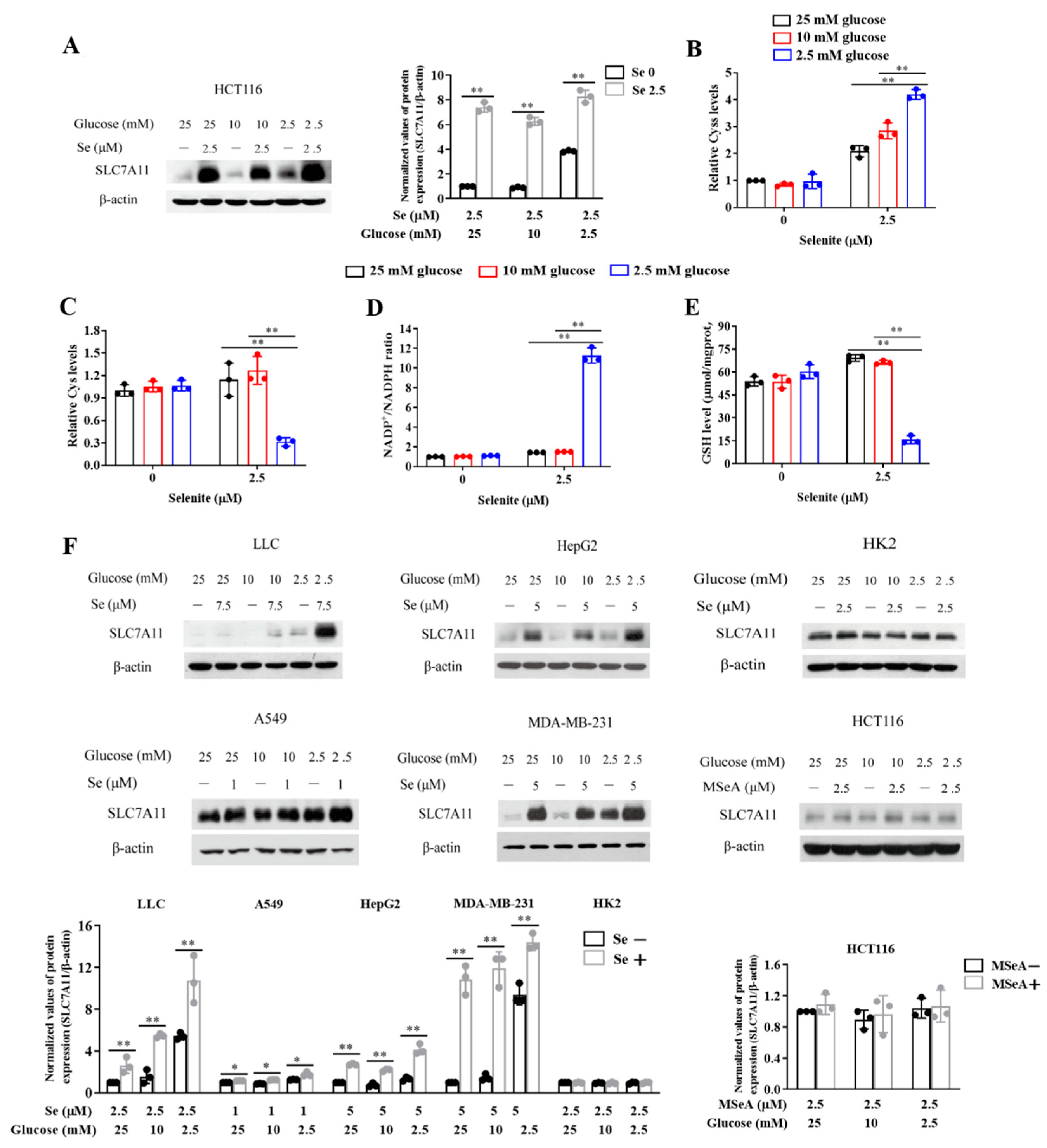 Cancers 14 00345 g003