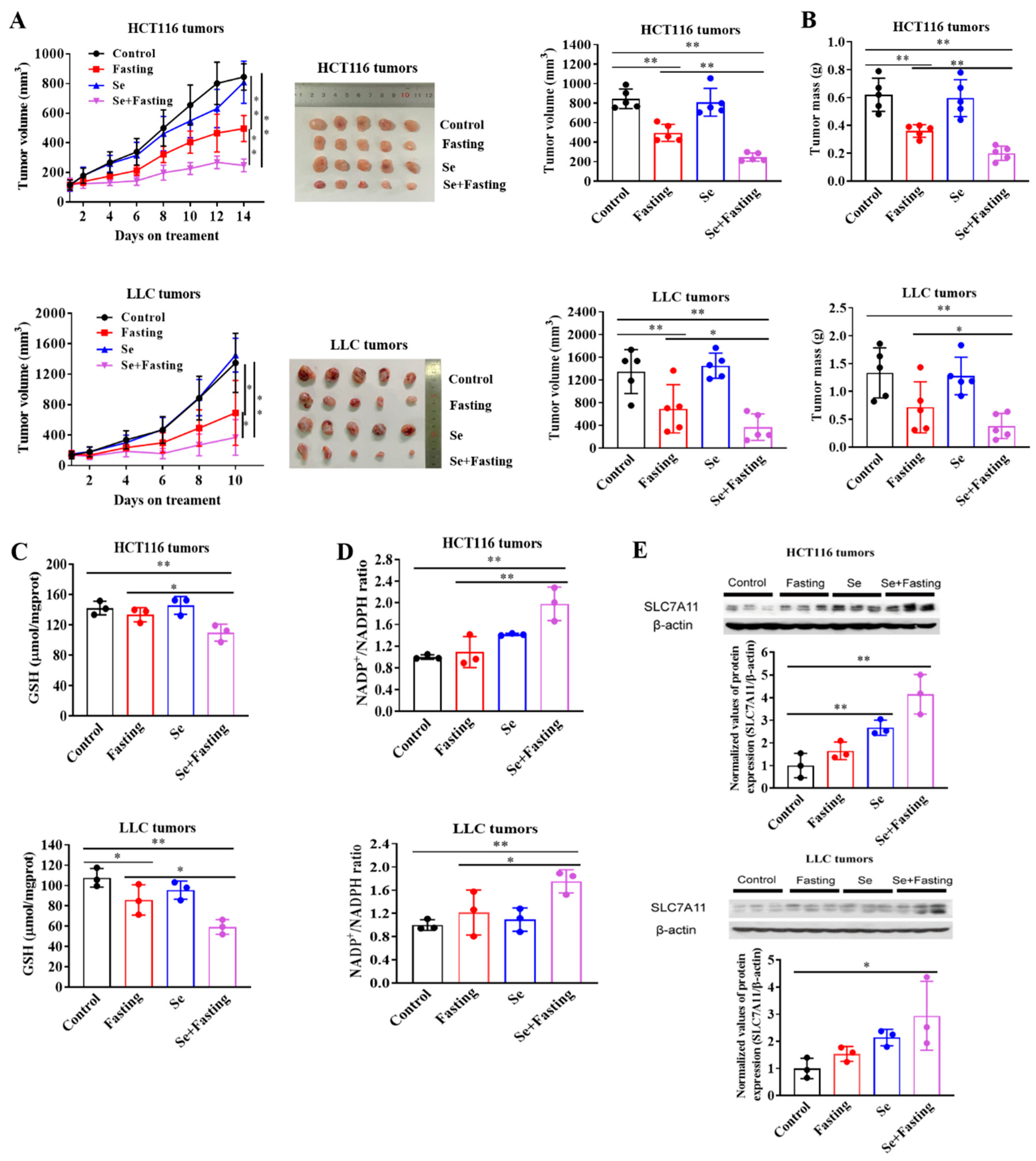 Cancers 14 00345 g006