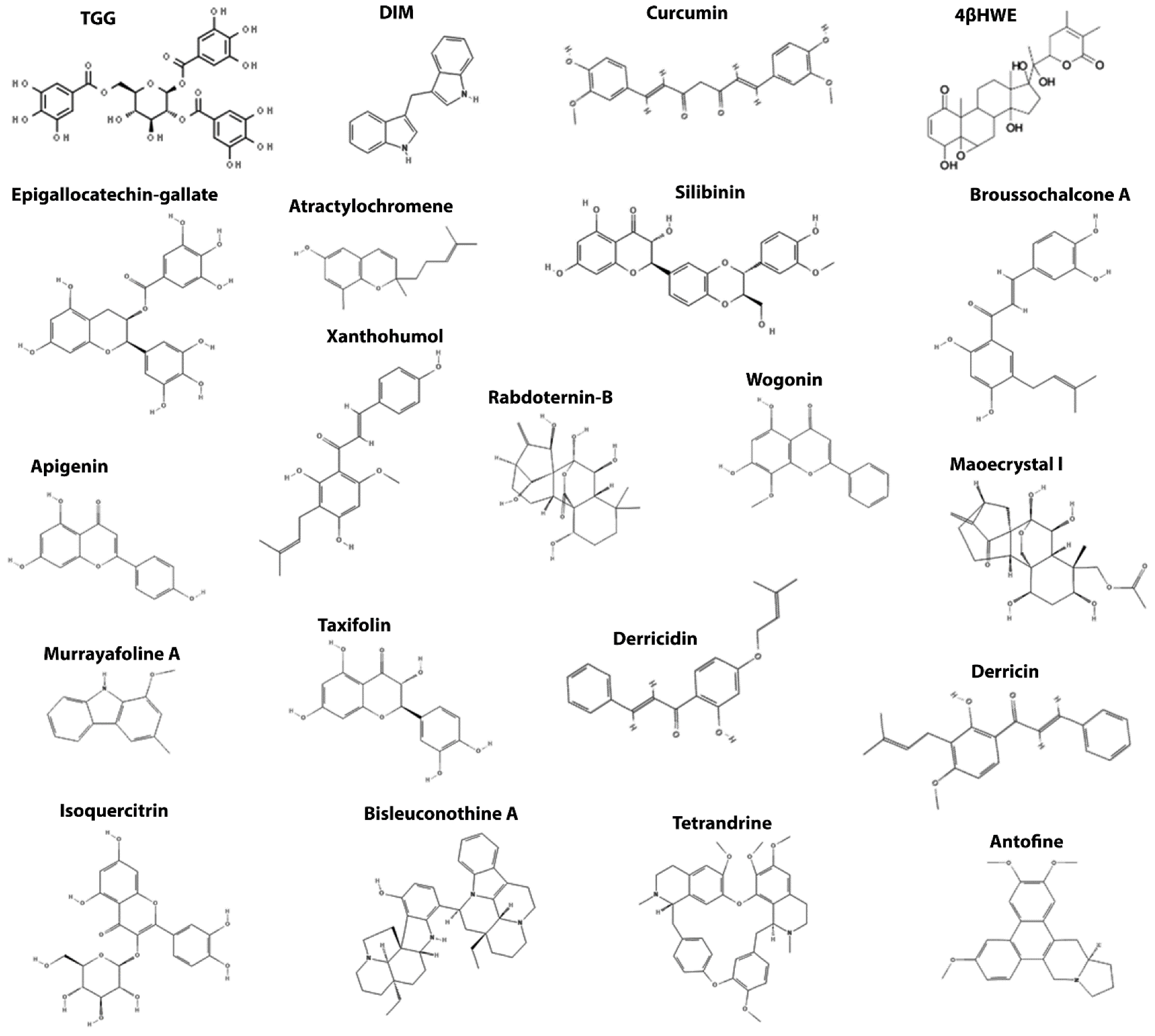 Cancers 14 00403 g005