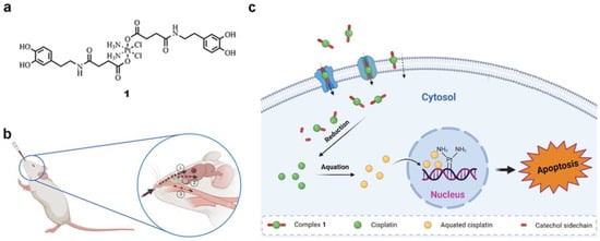 Bioinspired Theranostic Coordination Polymer Nanoparticles for Intranasal  Dopamine Replacement in Parkinson's Disease