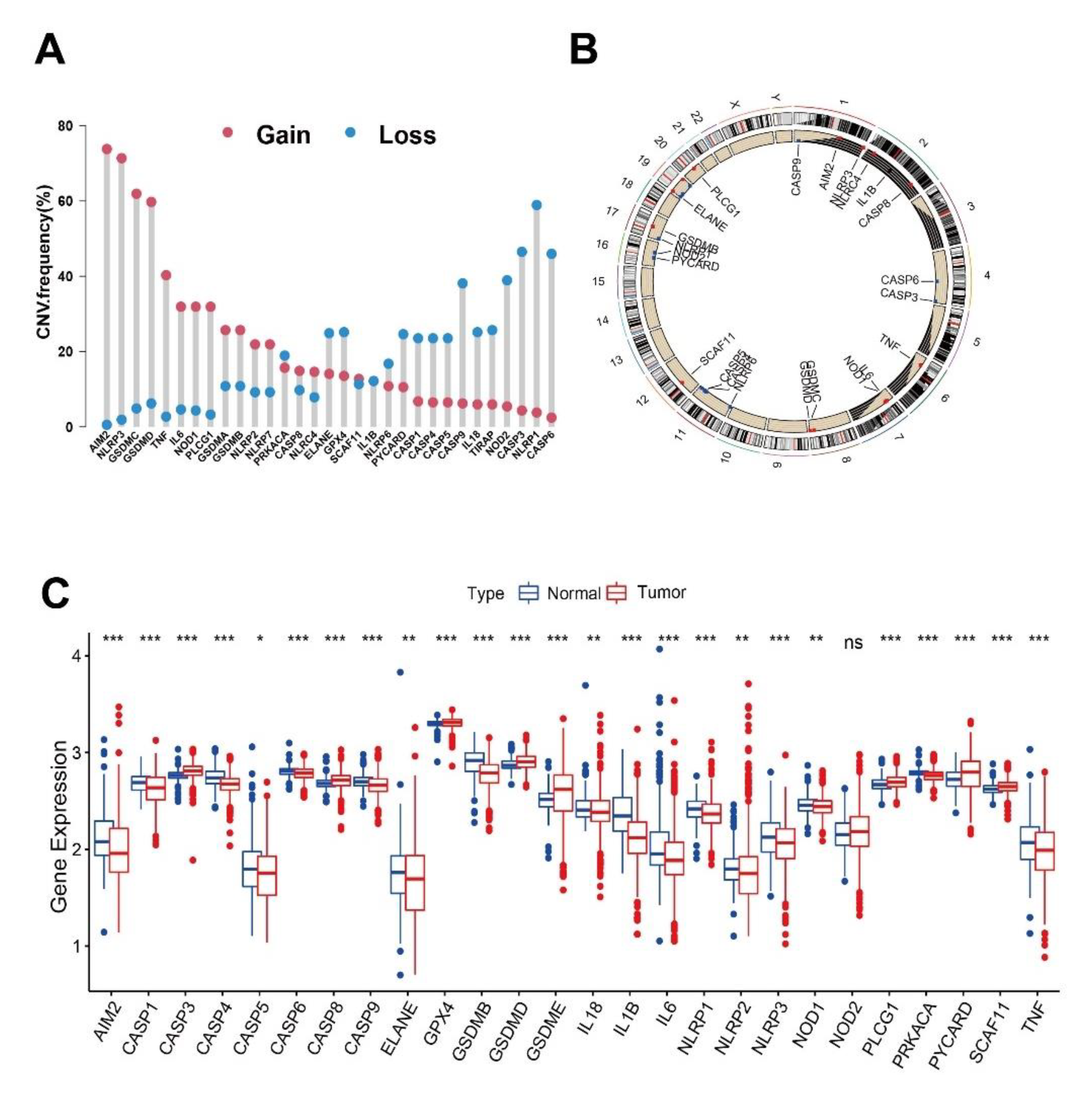Cancers 14 00447 g001