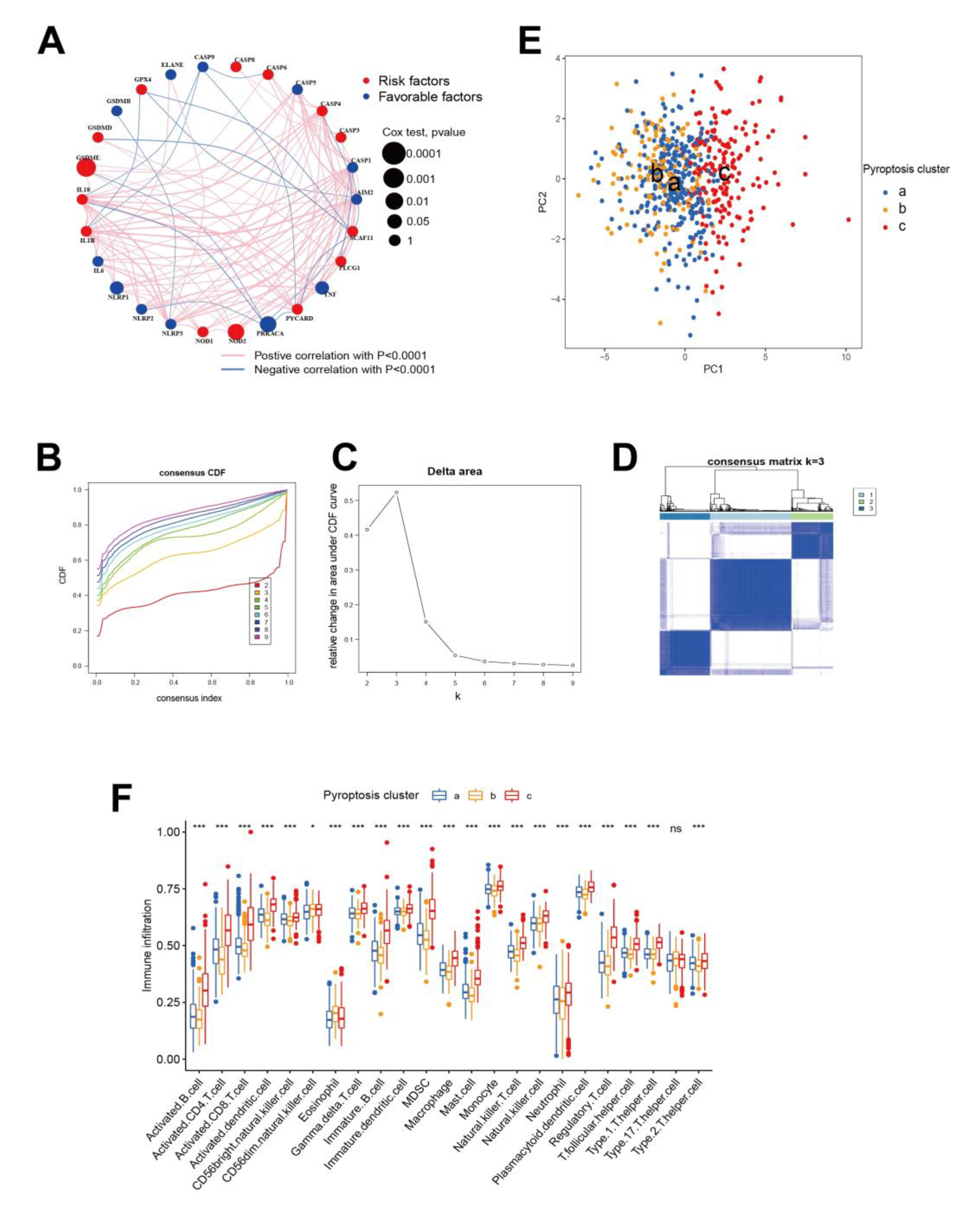 Cancers 14 00447 g002
