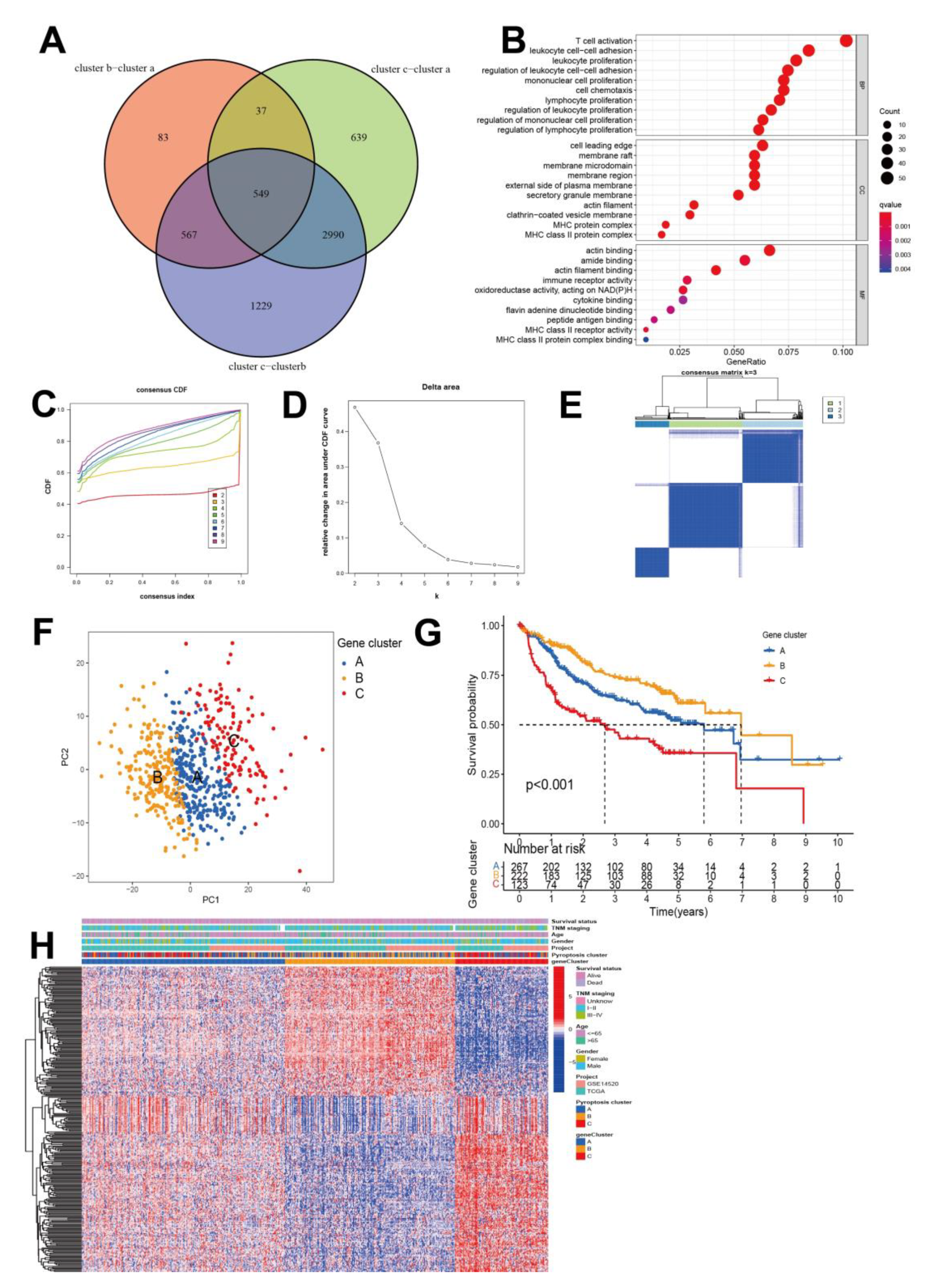 Cancers 14 00447 g003