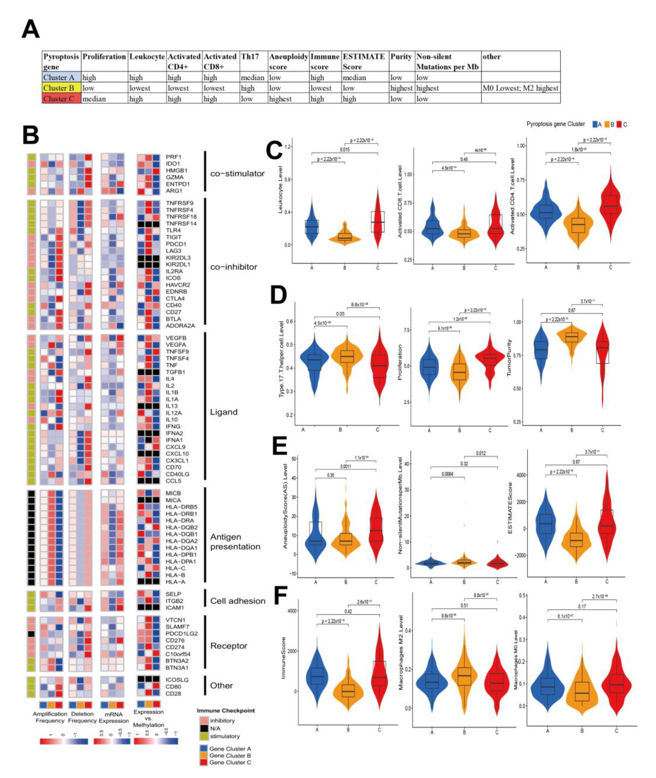 Cancers 14 00447 g004