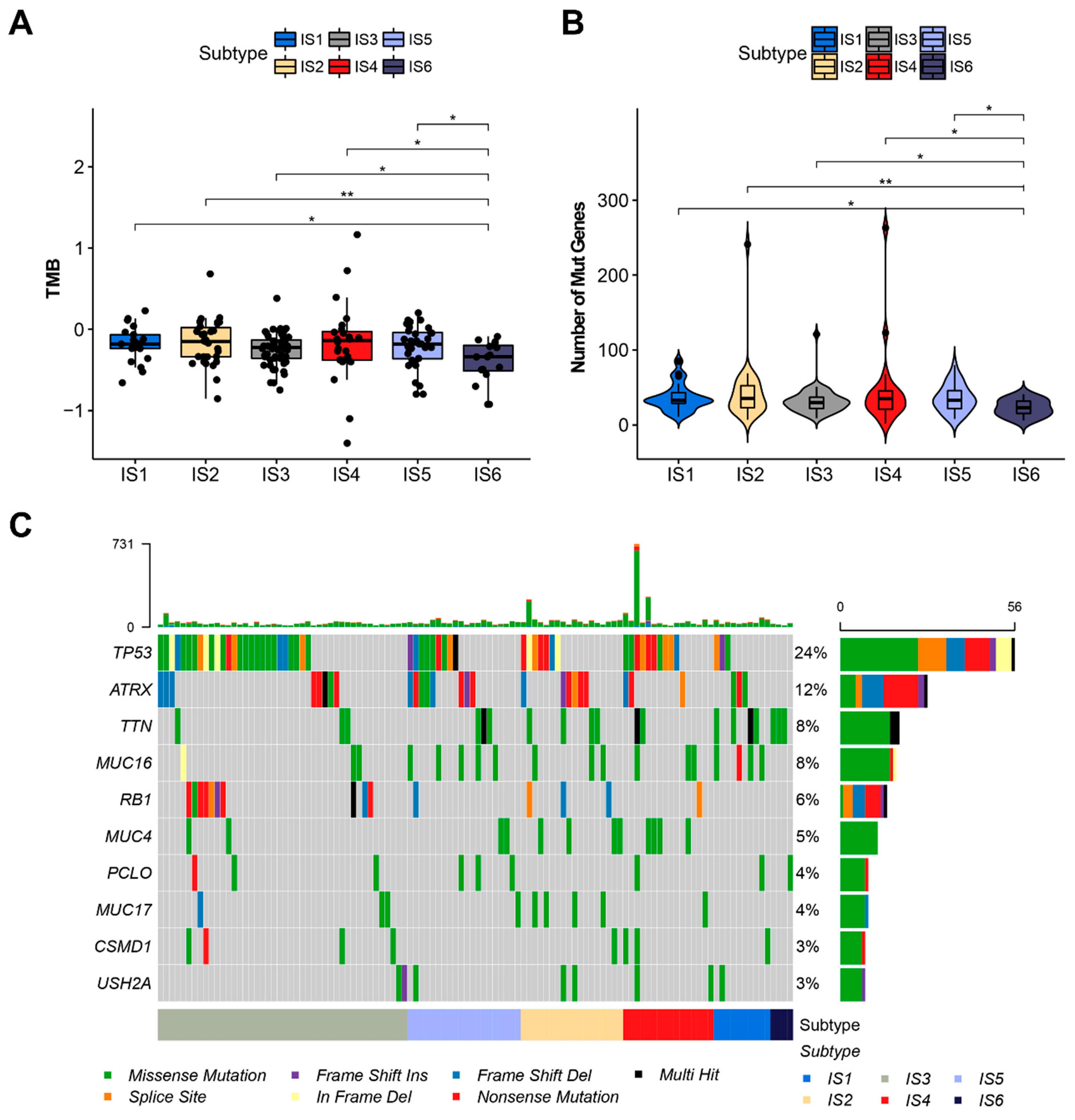 Cancers 14 00448 g004