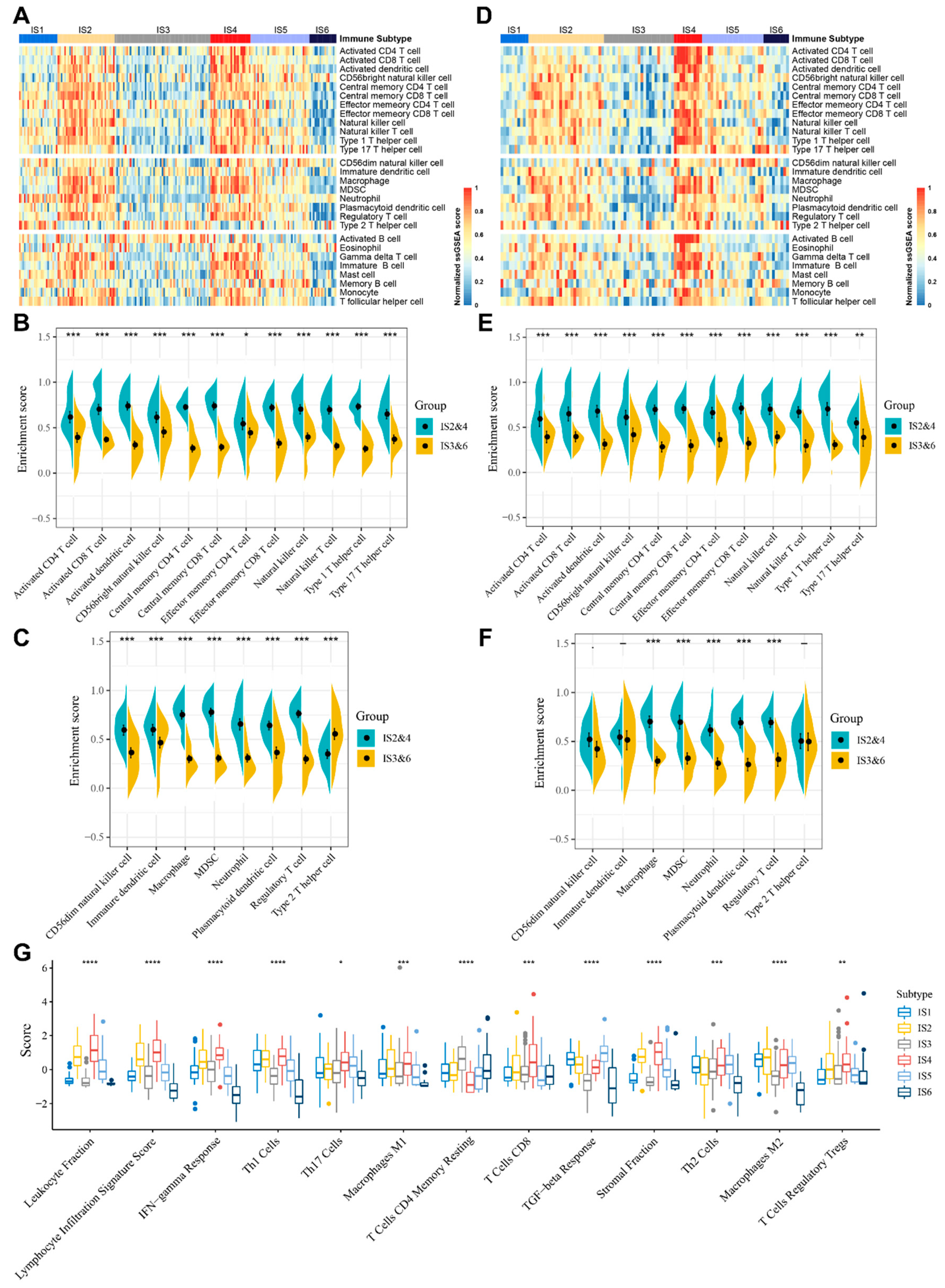 Cancers 14 00448 g005