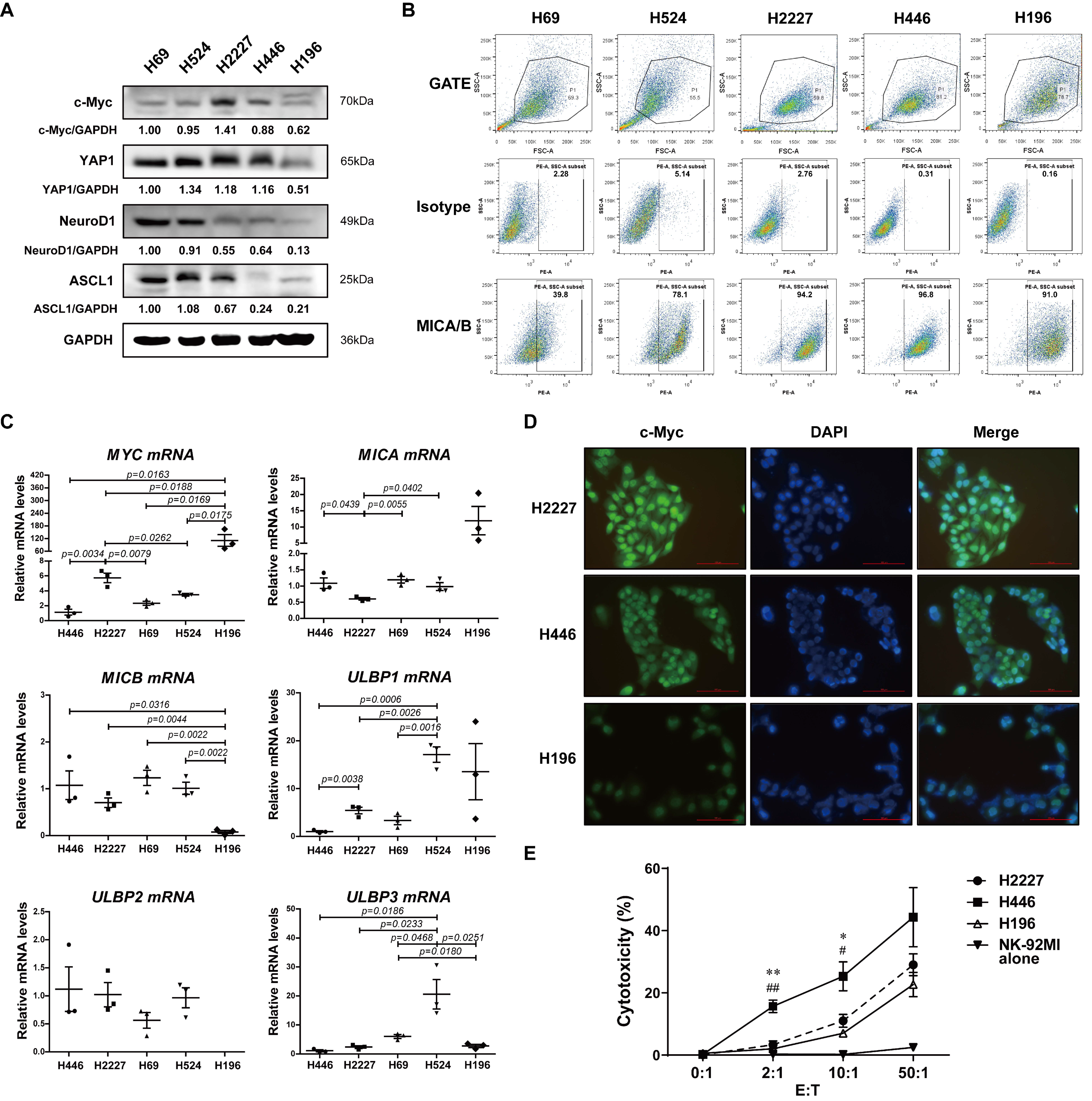 Cancers 14 00457 g001 Cancers 14 00457 g001