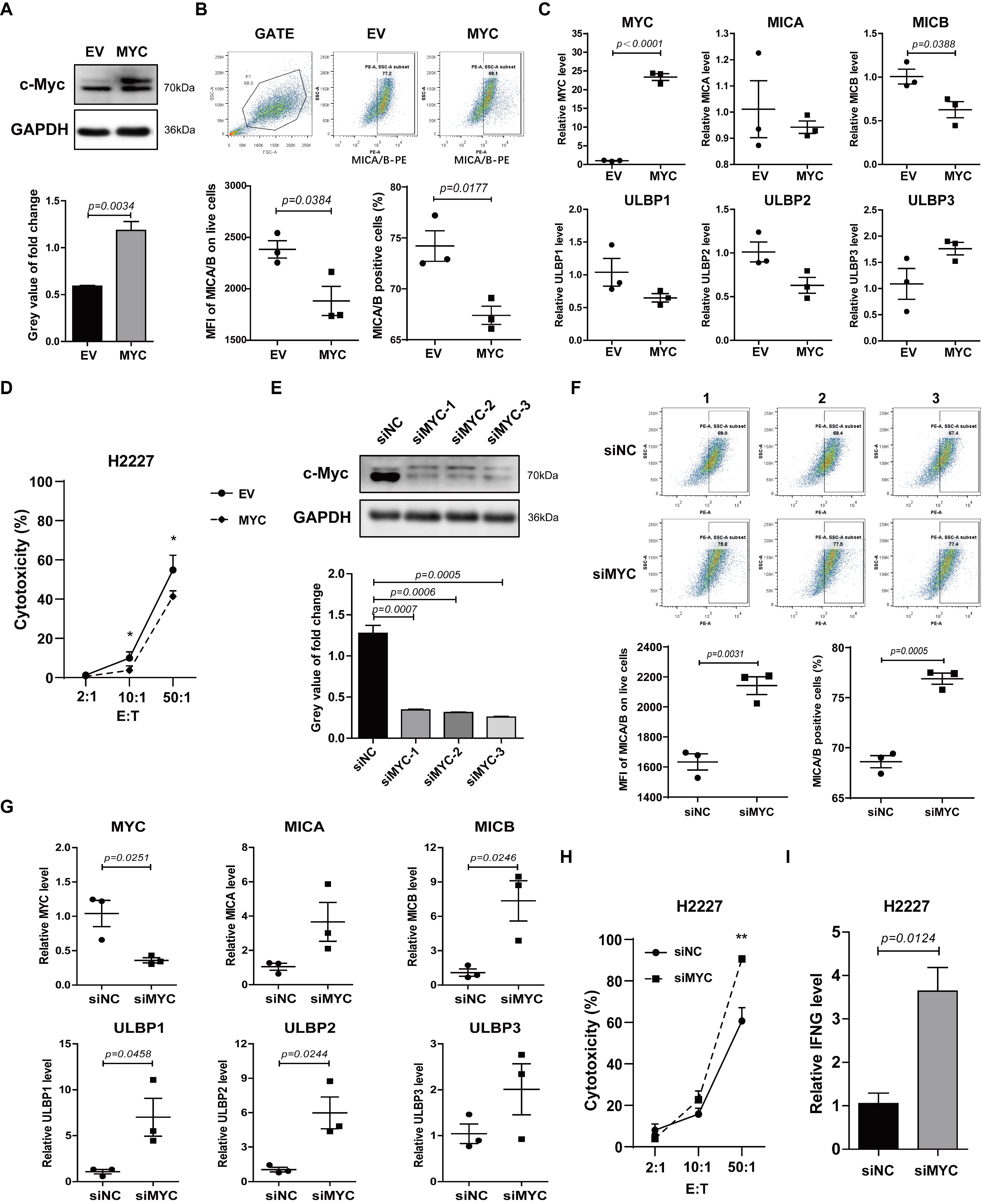 Cancers 14 00457 g002 Cancers 14 00457 g002