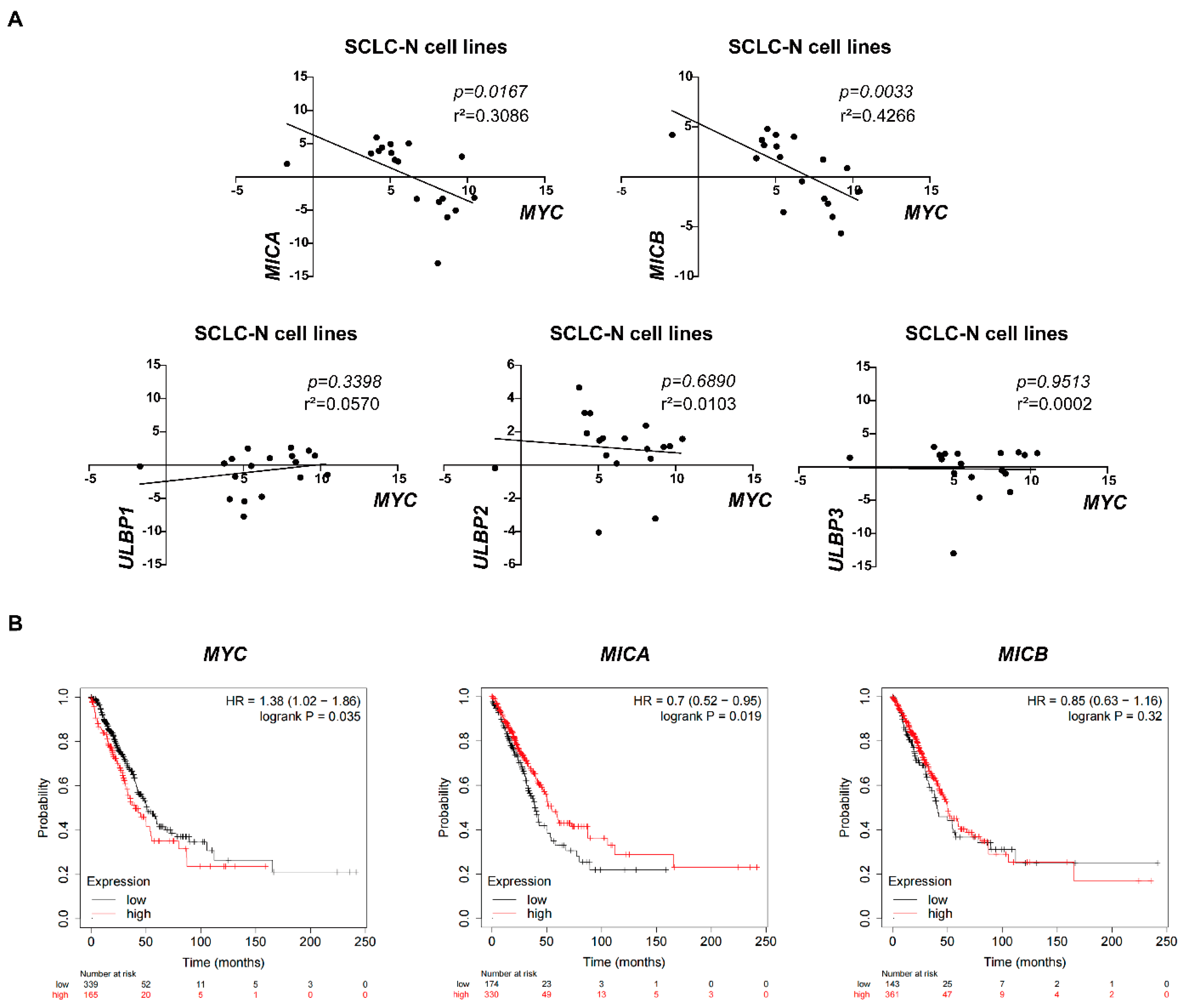 Cancers 14 00457 g005 Cancers 14 00457 g005