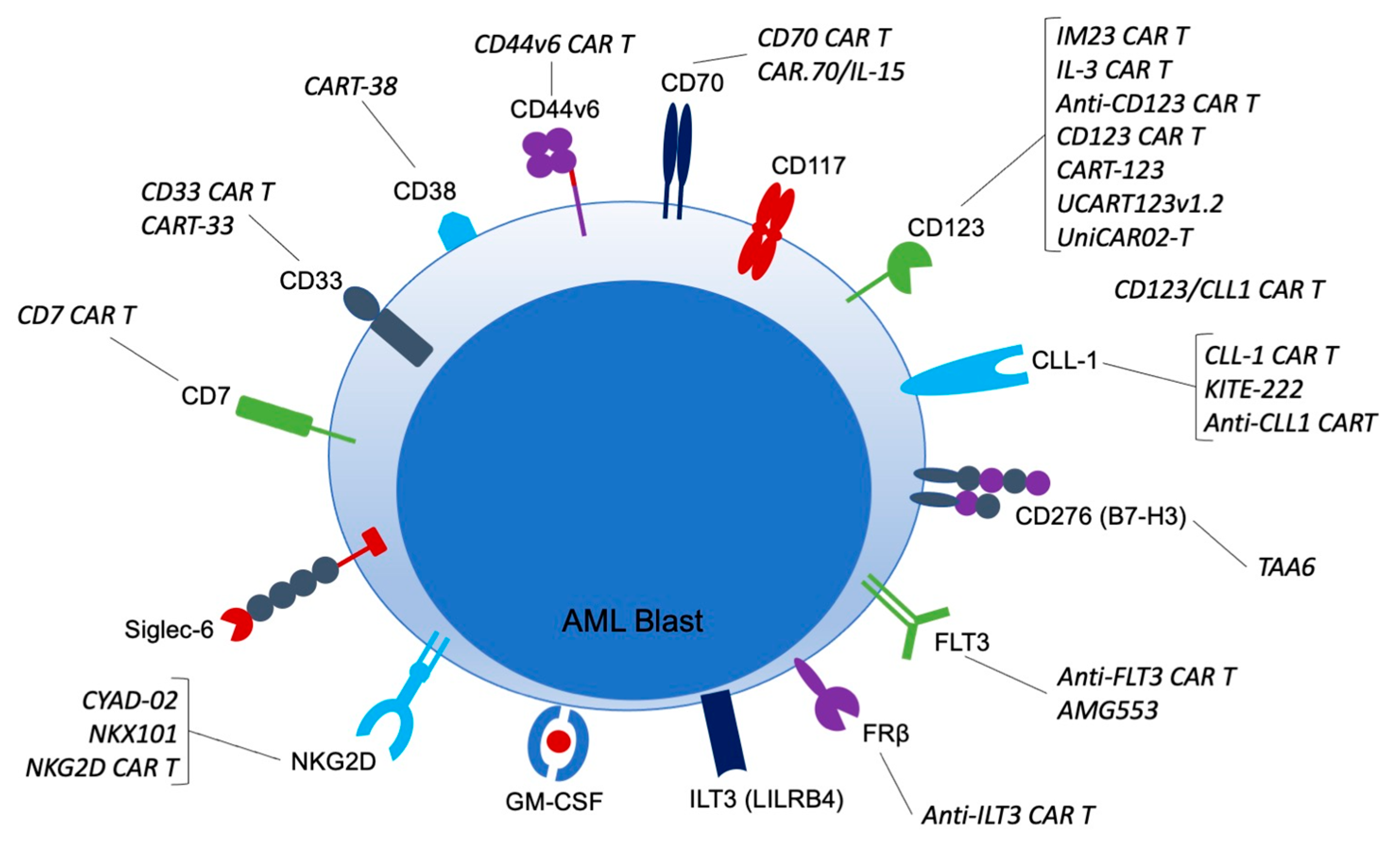 Cancers | Free Full-Text | Challenges and Advances in Chimeric Antigen  Receptor Therapy for Acute Myeloid Leukemia