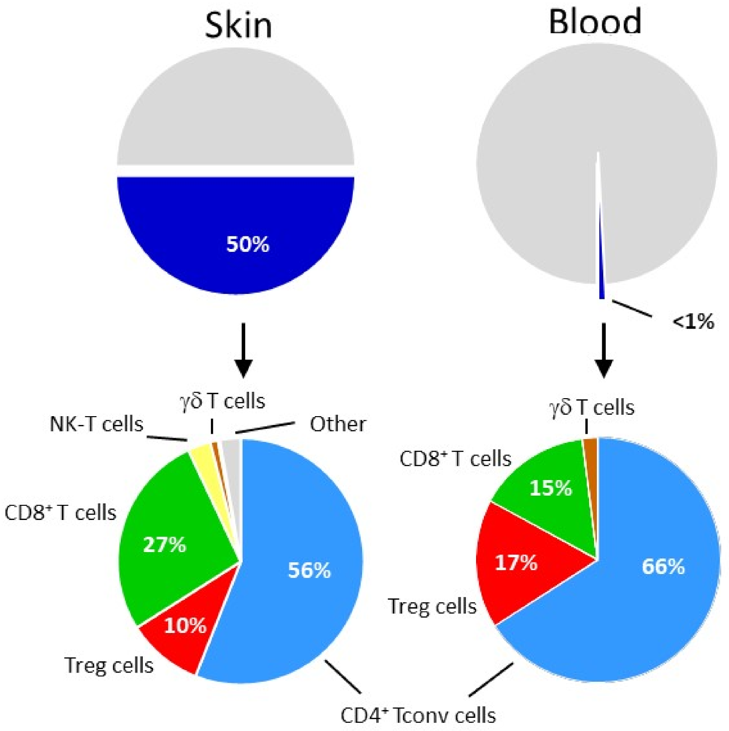 Cancers 14 00511 g003