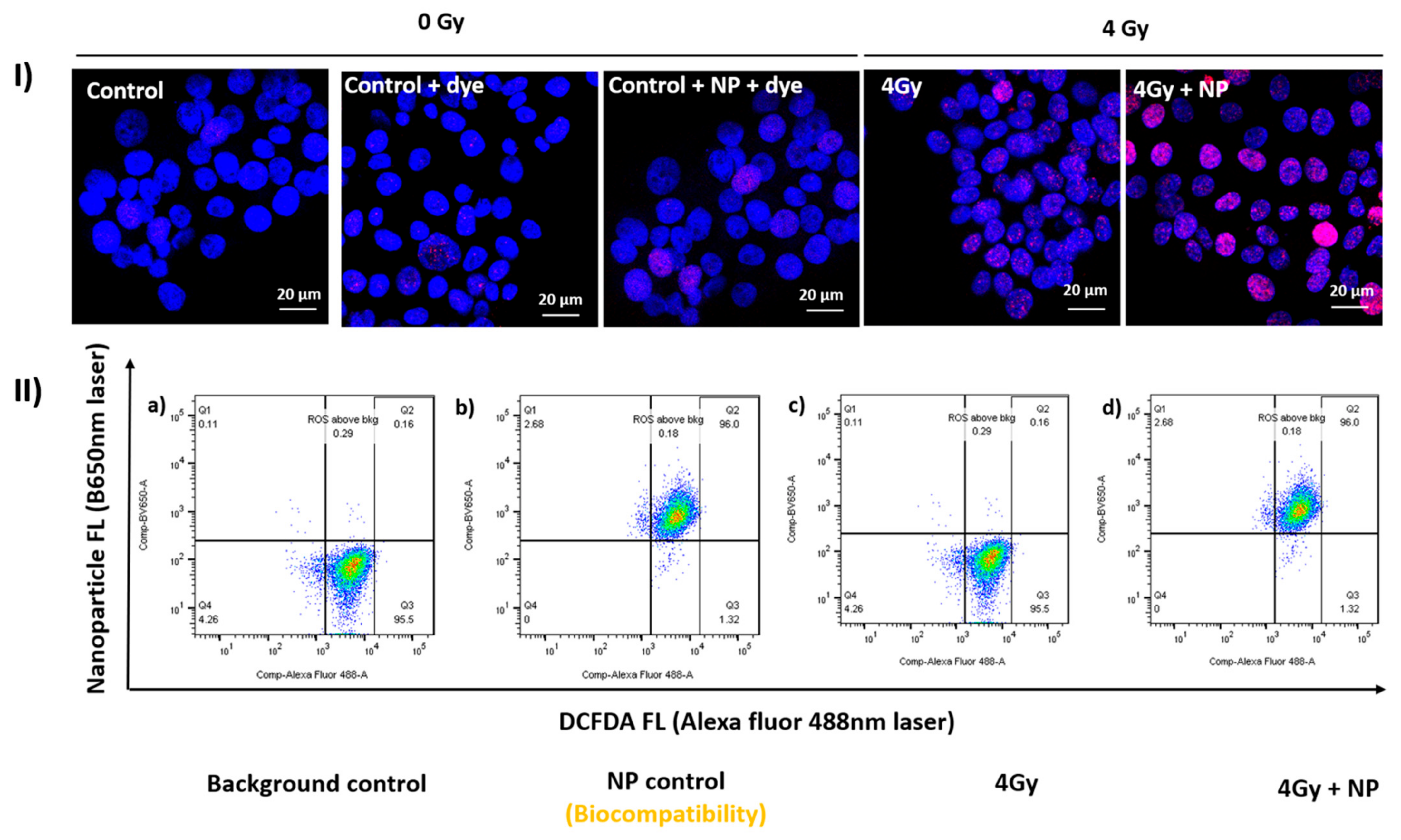 Cancers 14 00514 g003