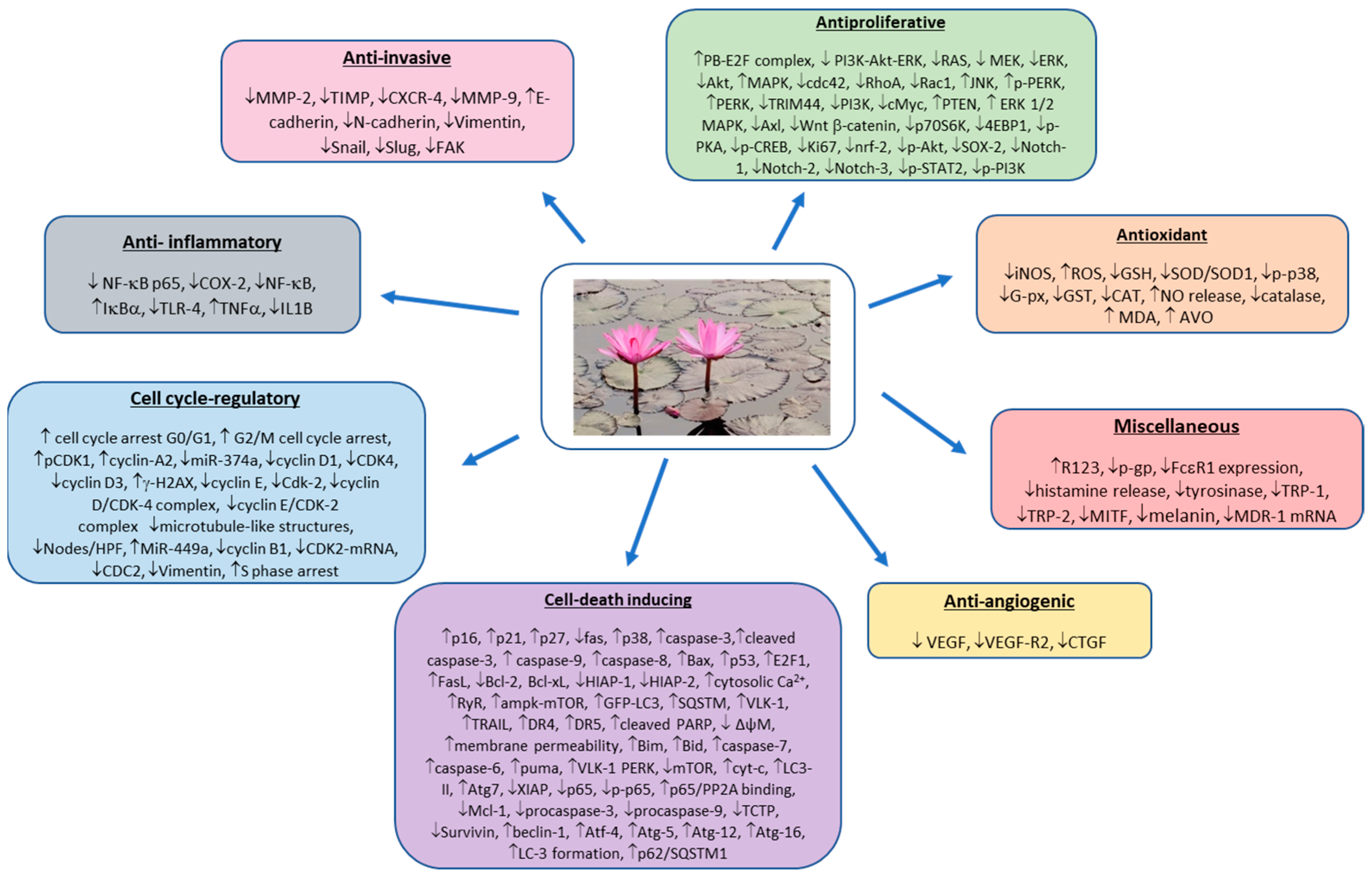 Cancers 14 00529 g005