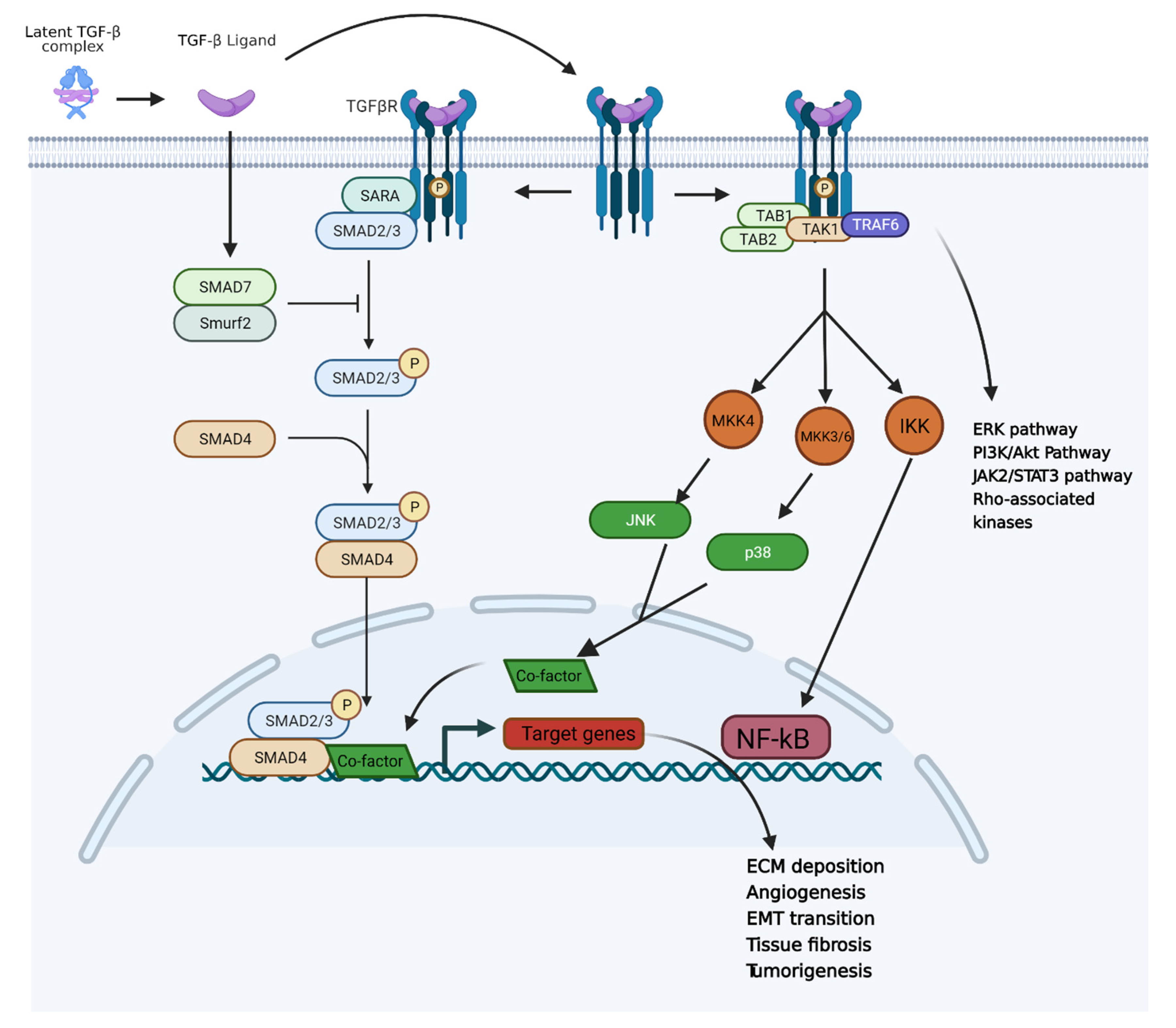 Cancers 14 00552 g005