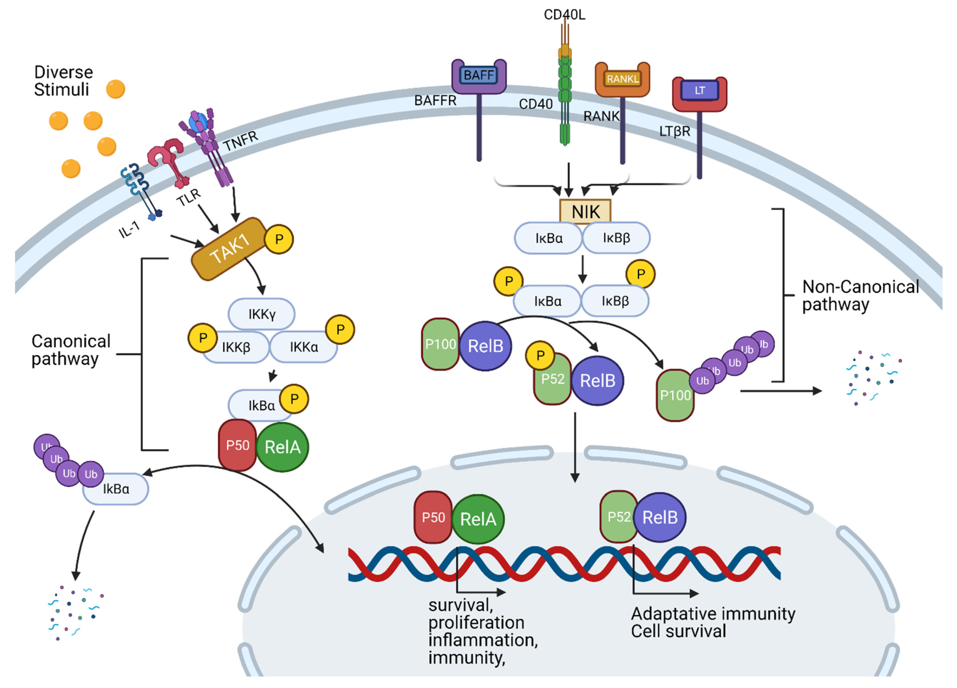 Cancers 14 00552 g007