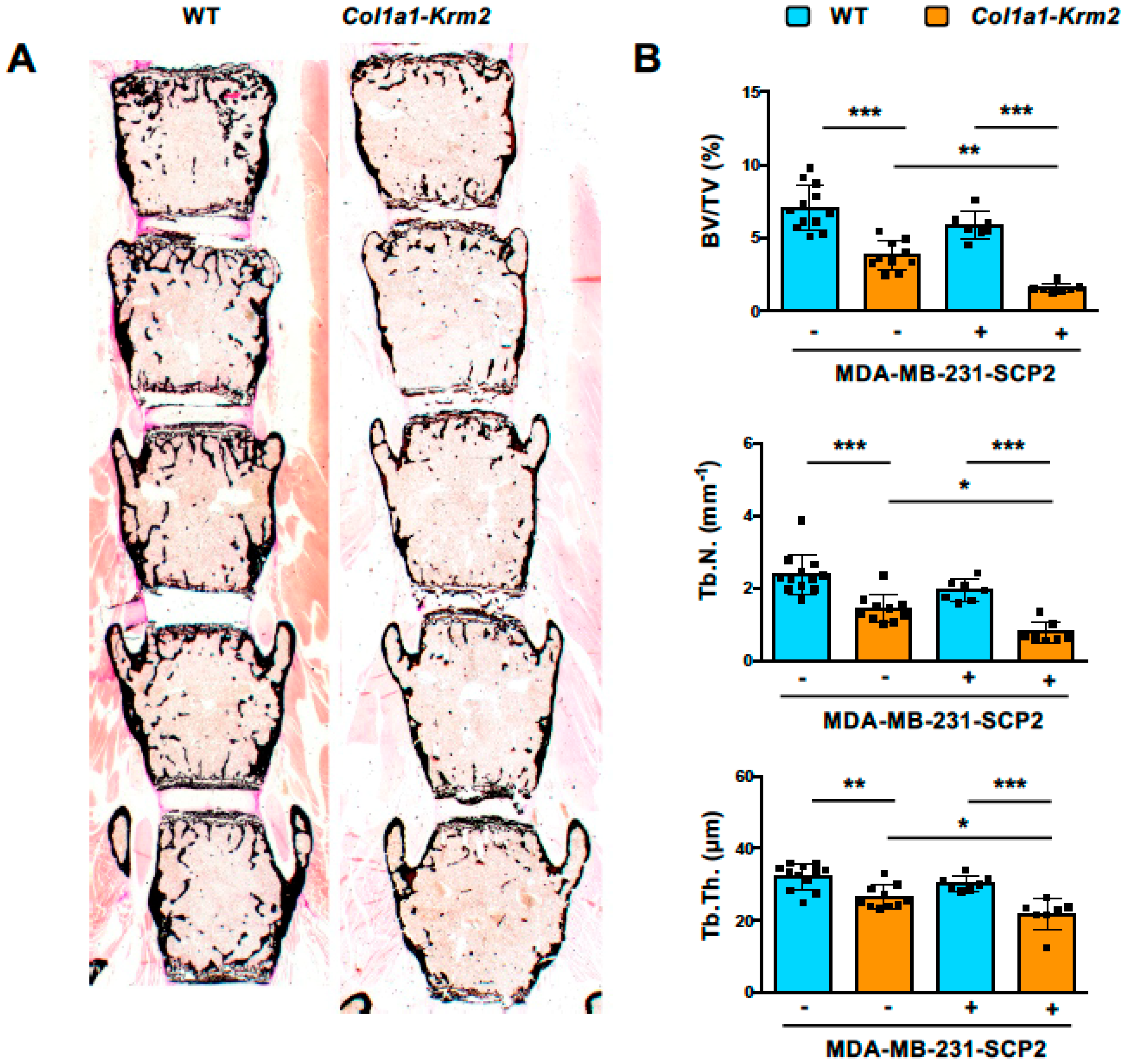 Cancers 14 00556 g003 Cancers 14 00556 g003