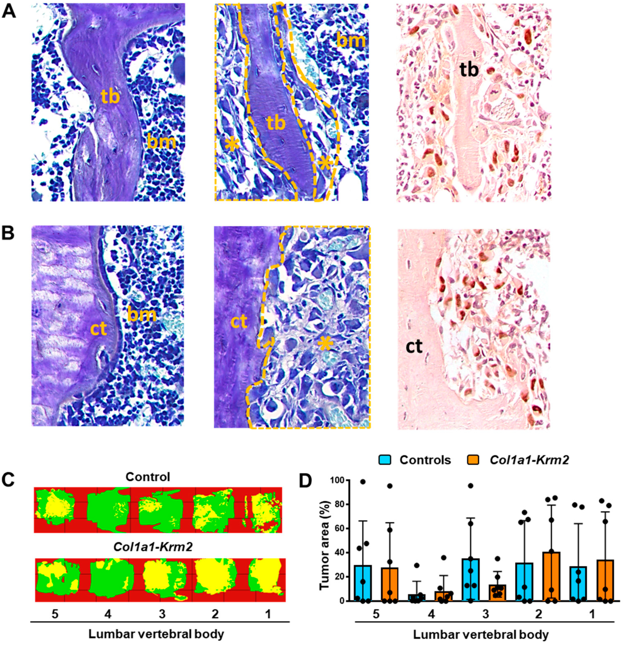 Cancers 14 00556 g004 Cancers 14 00556 g004