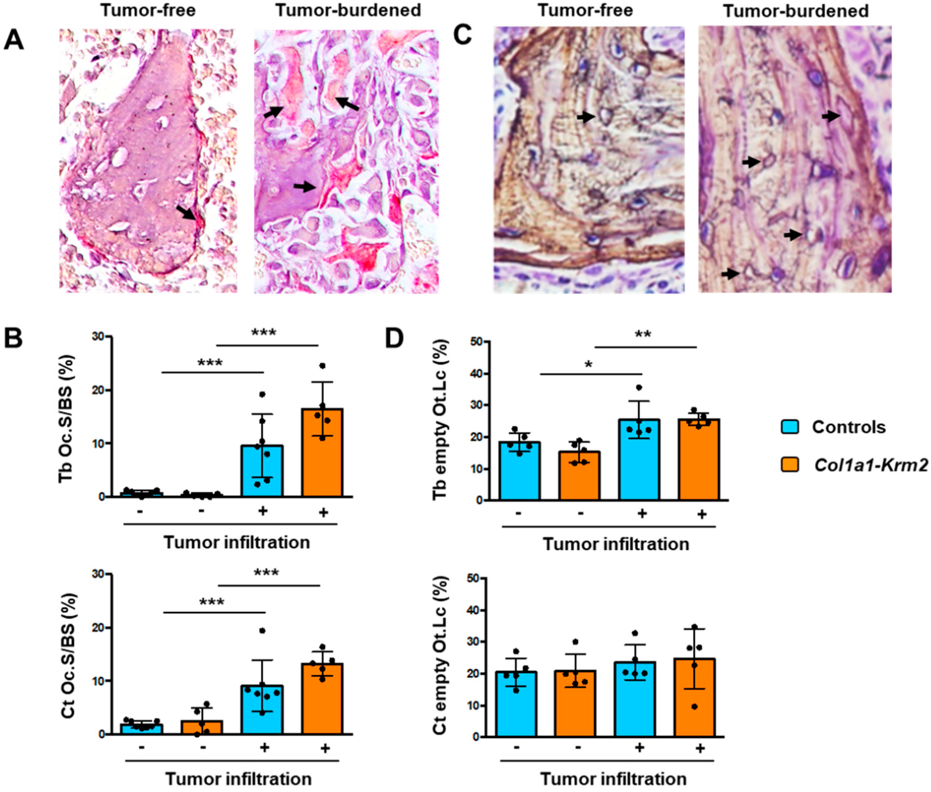 Cancers 14 00556 g005 Cancers 14 00556 g005