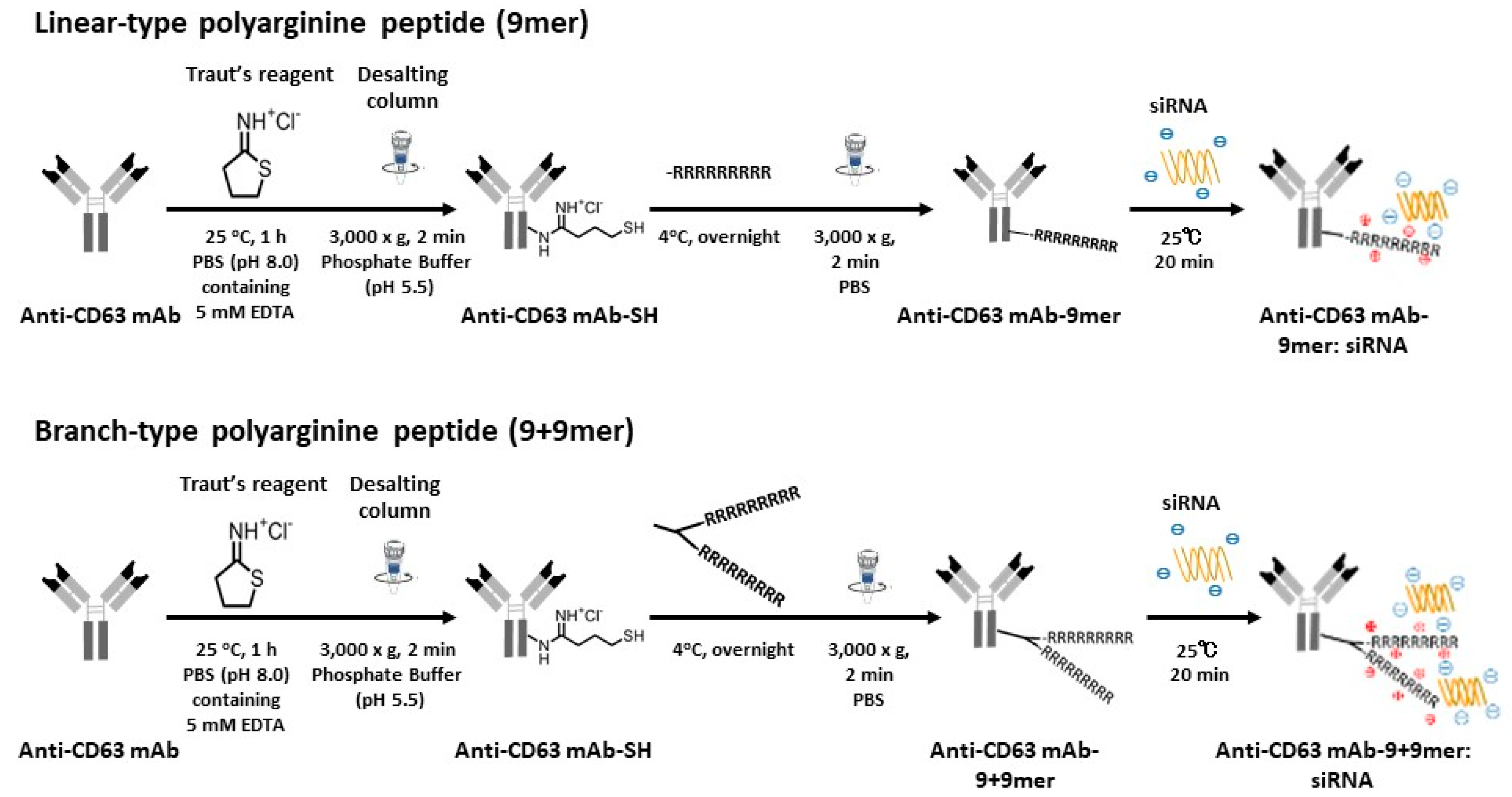 Cancers 14 00566 g002