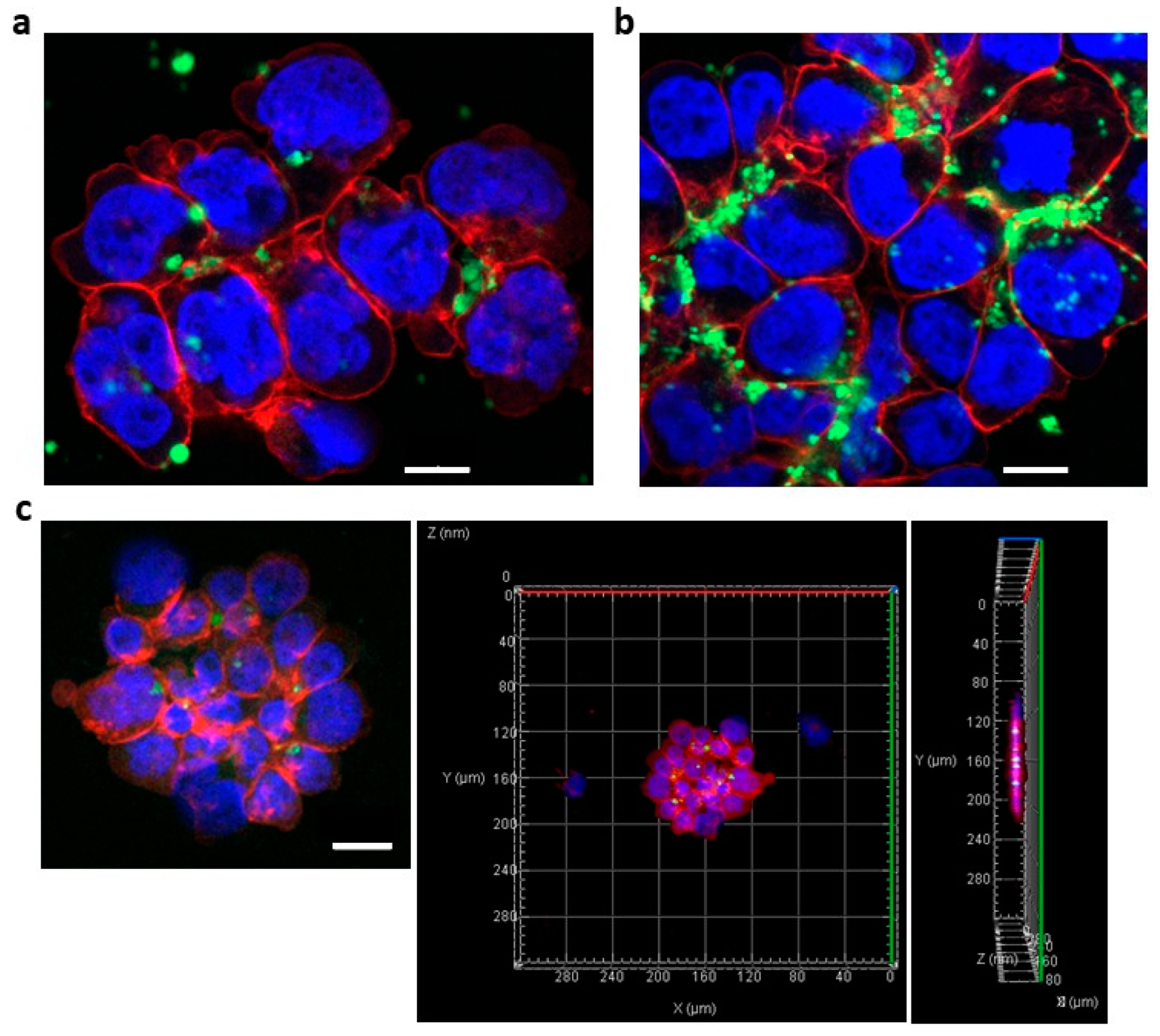 Cancers 14 00566 g005