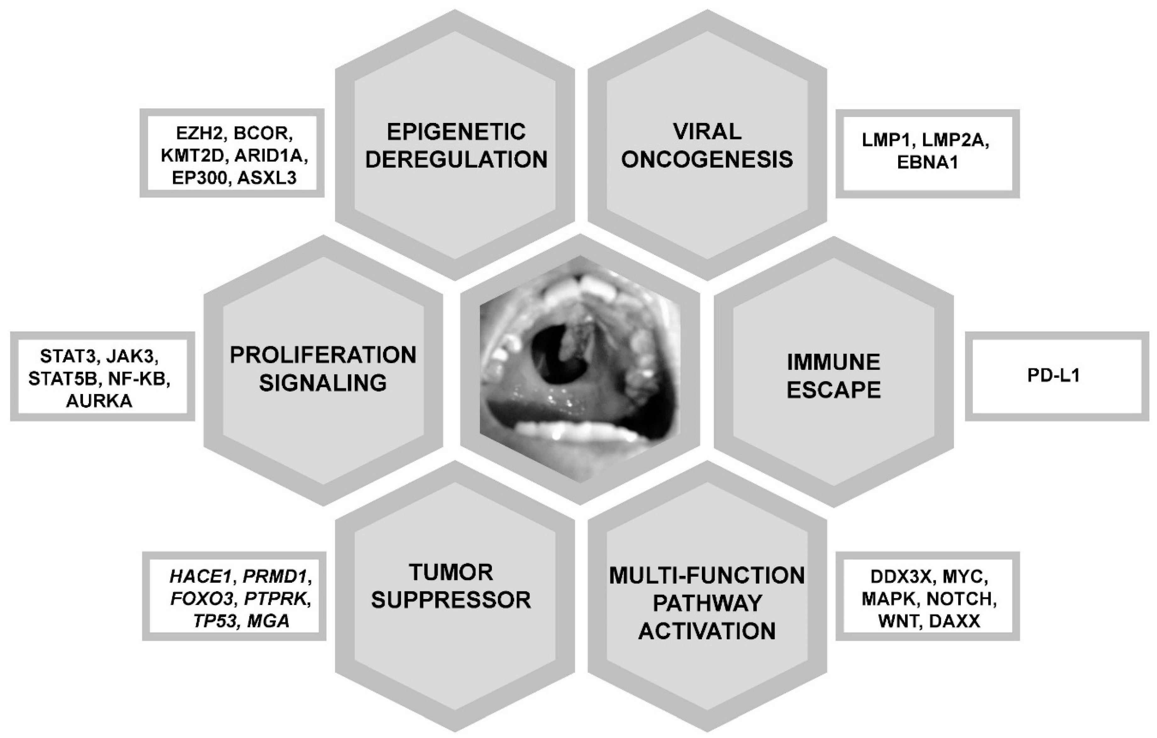 Cancers | Free Full-Text | Recent Advances in the Diagnosis and 