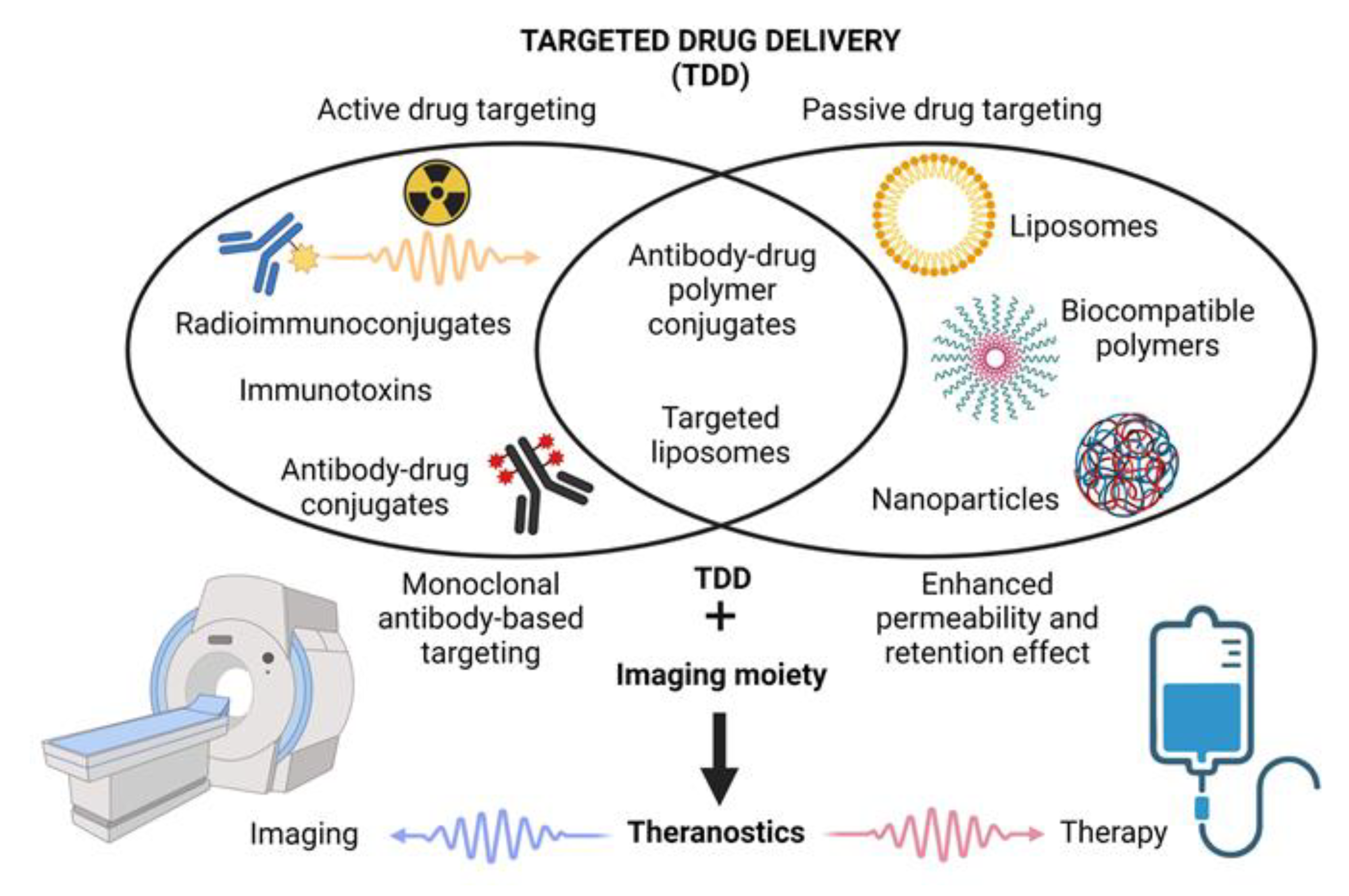 Cancers | Free Full-Text | Targeted Drug Delivery and Theranostic  Strategies in Malignant Lymphomas | HTML
