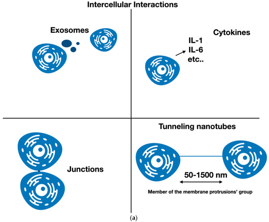 PDF] Long-distance relationships: do membrane nanotubes regulate