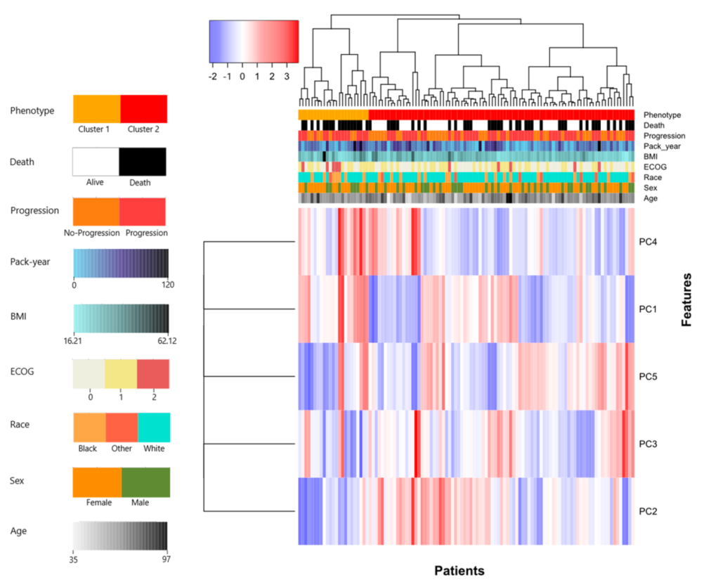 Cancers 14 00700 g002