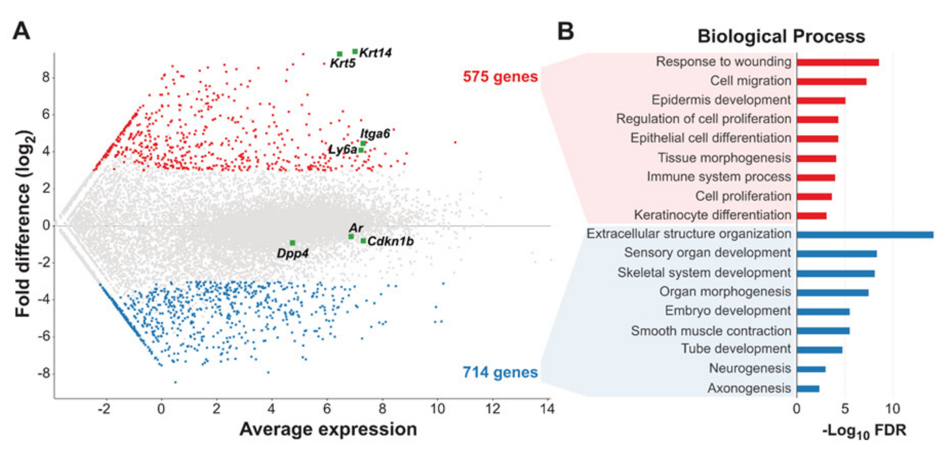 Cancers 14 00749 g003