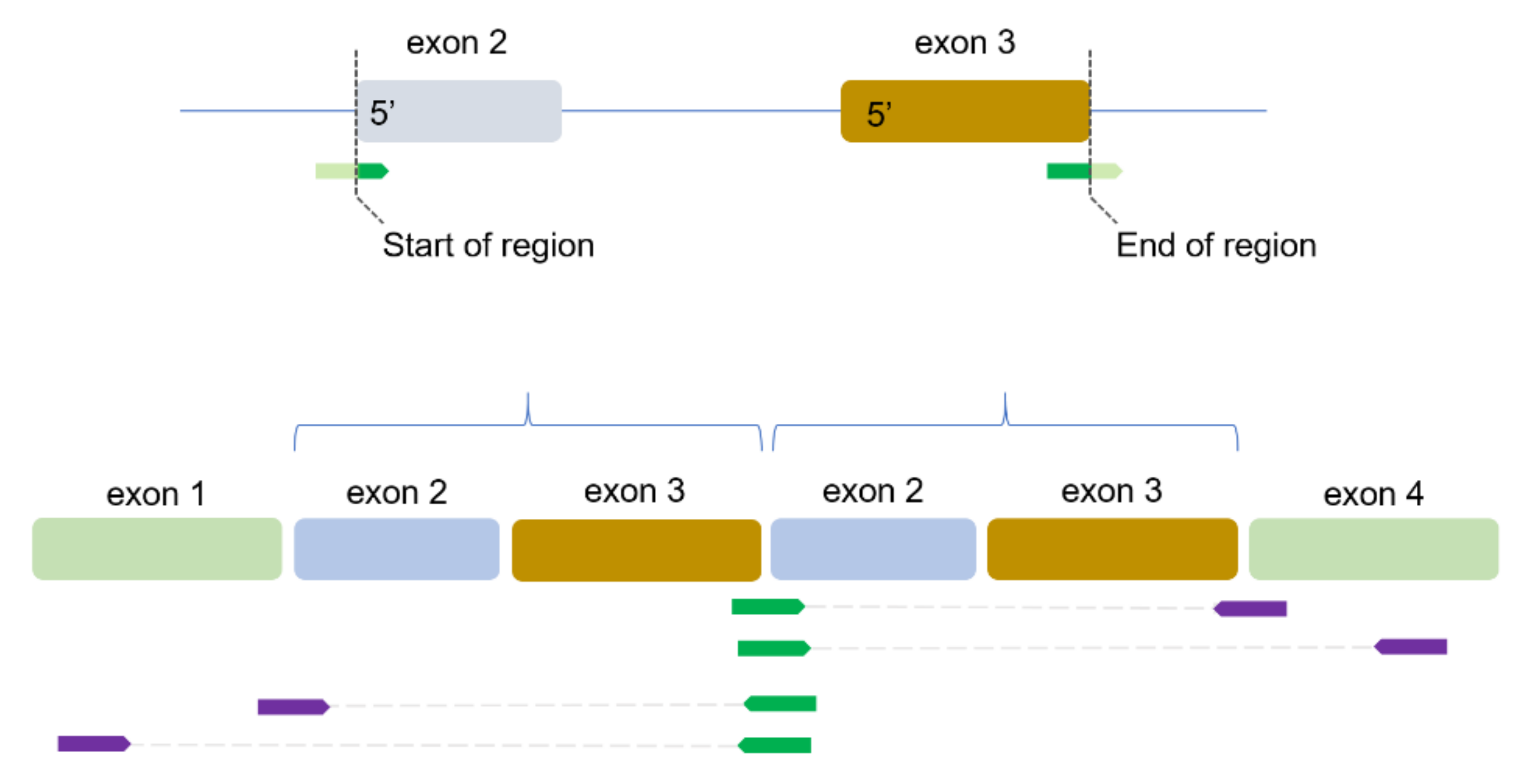 Cancers 14 00753 g001