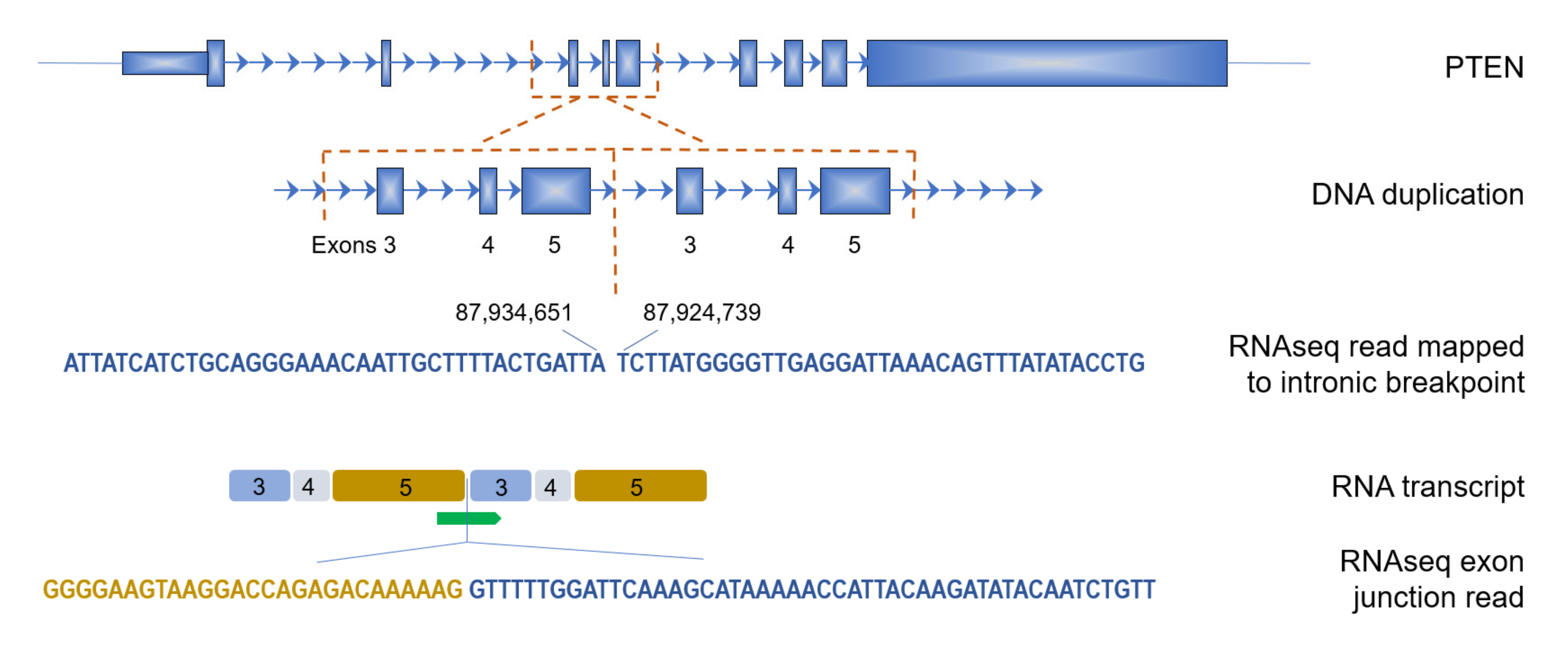 Cancers 14 00753 g004
